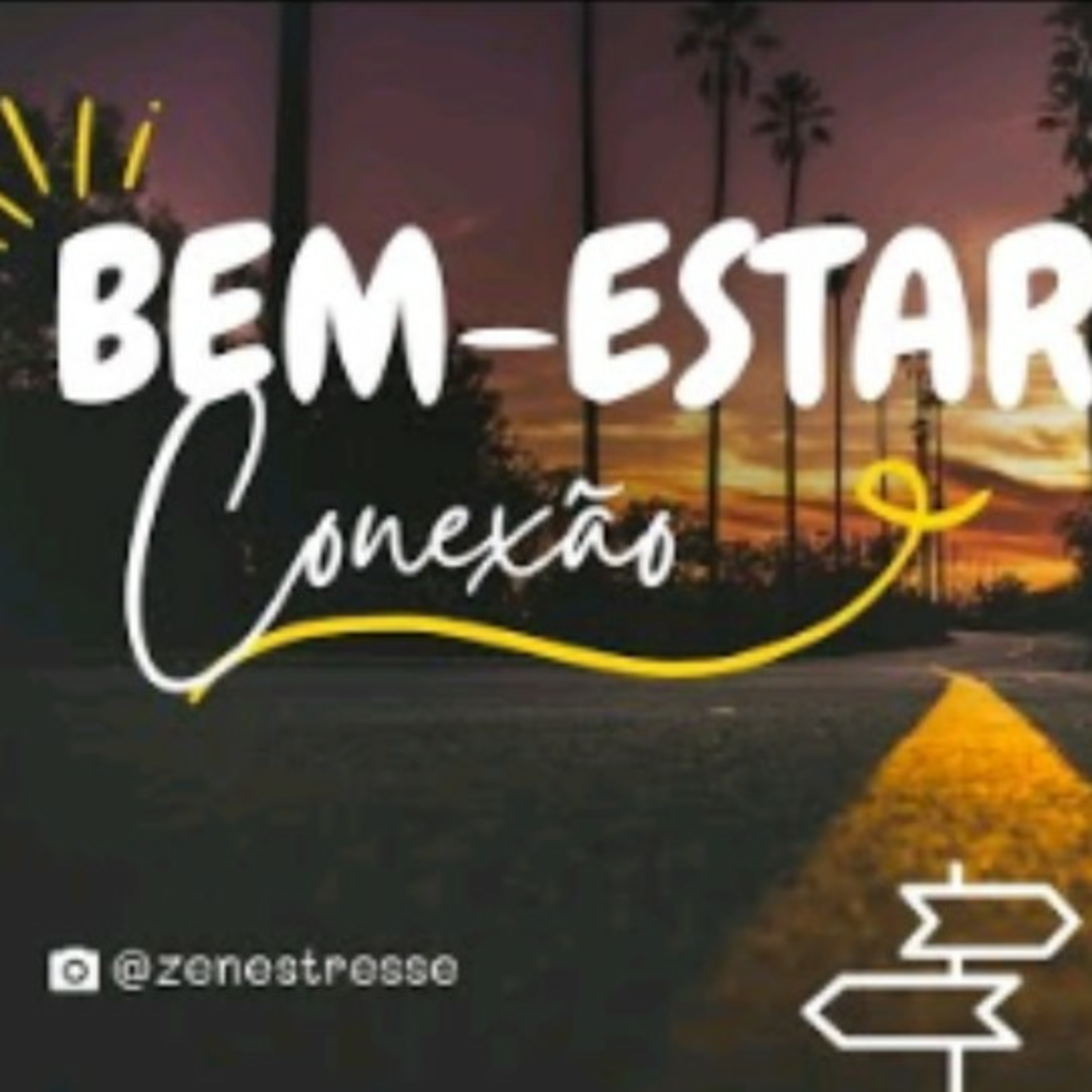Zenestresse - Práticas De Bem Viver