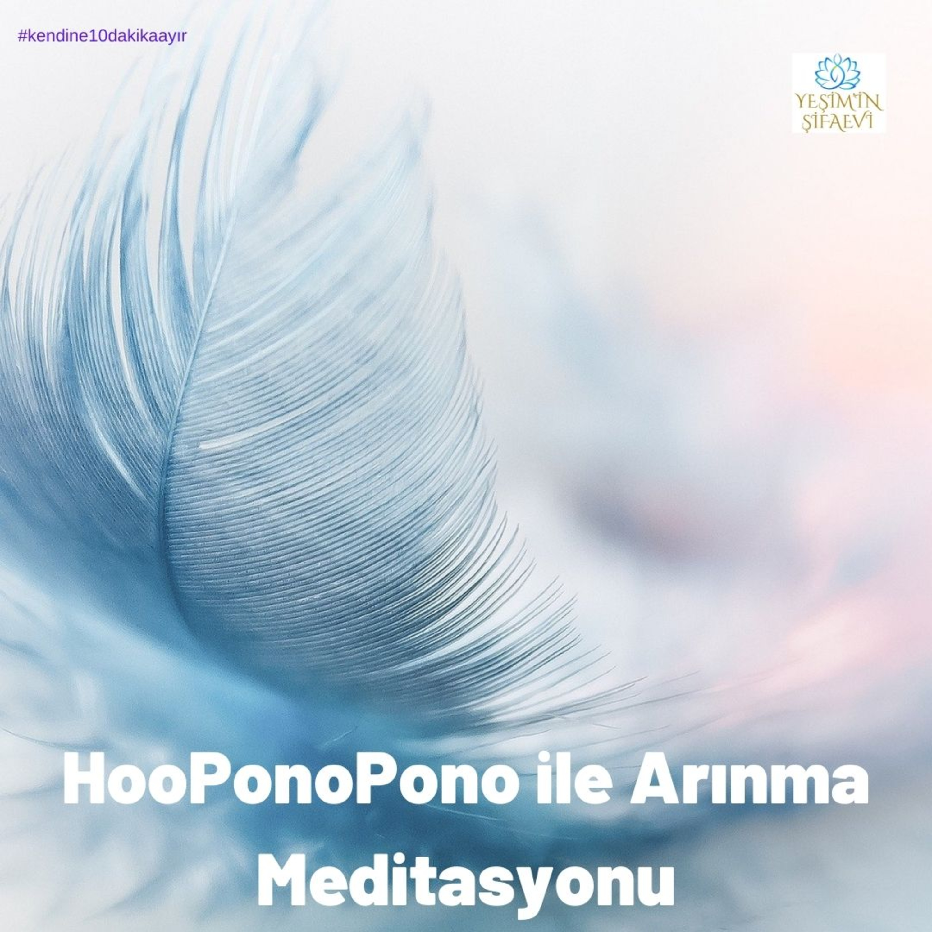 HO'OPONOPONO İLE ARINMA MEDİTASYONU : Şifa, Bağışlama ve Uyku İçin episode artwork