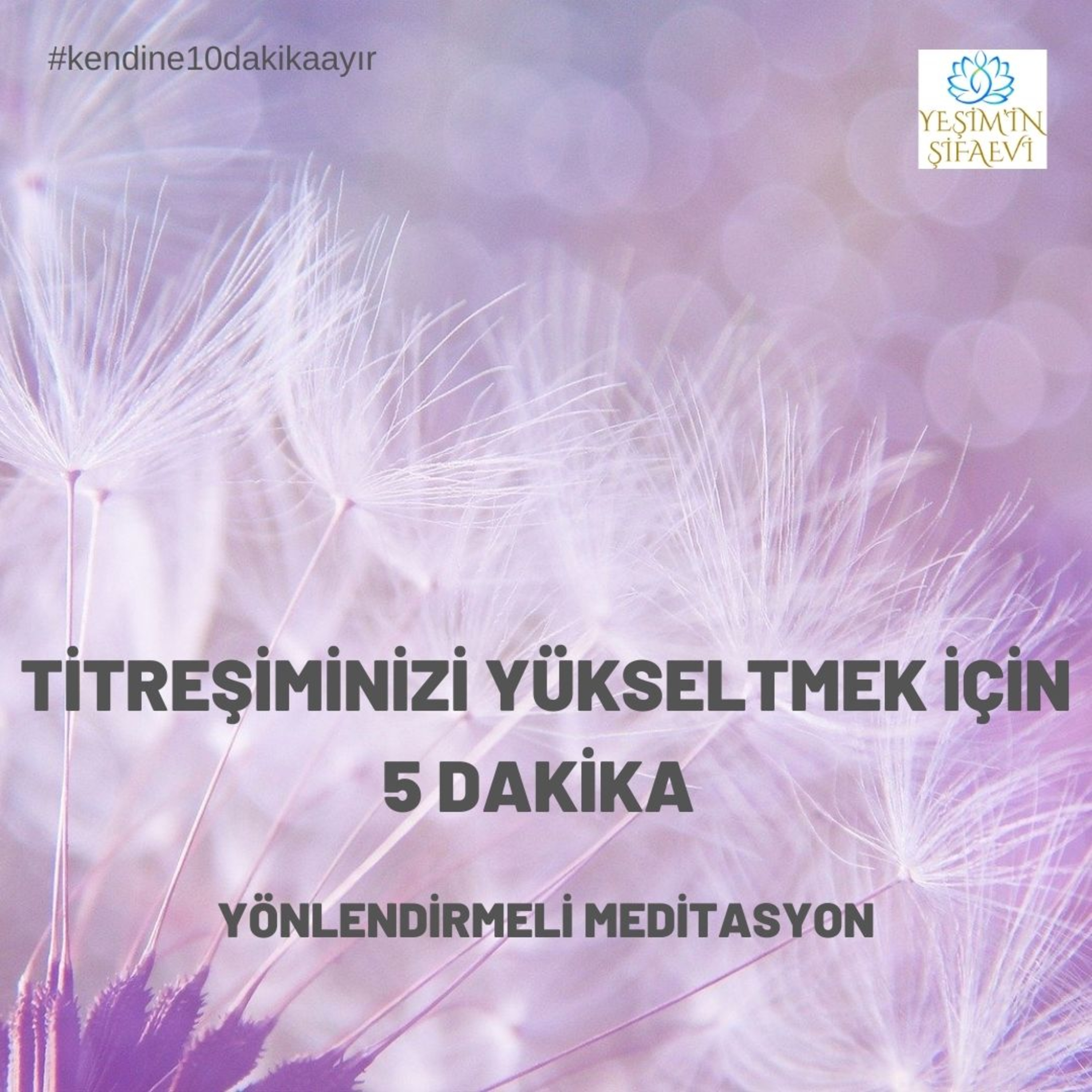 Yeşim\'in ŞifaEvi