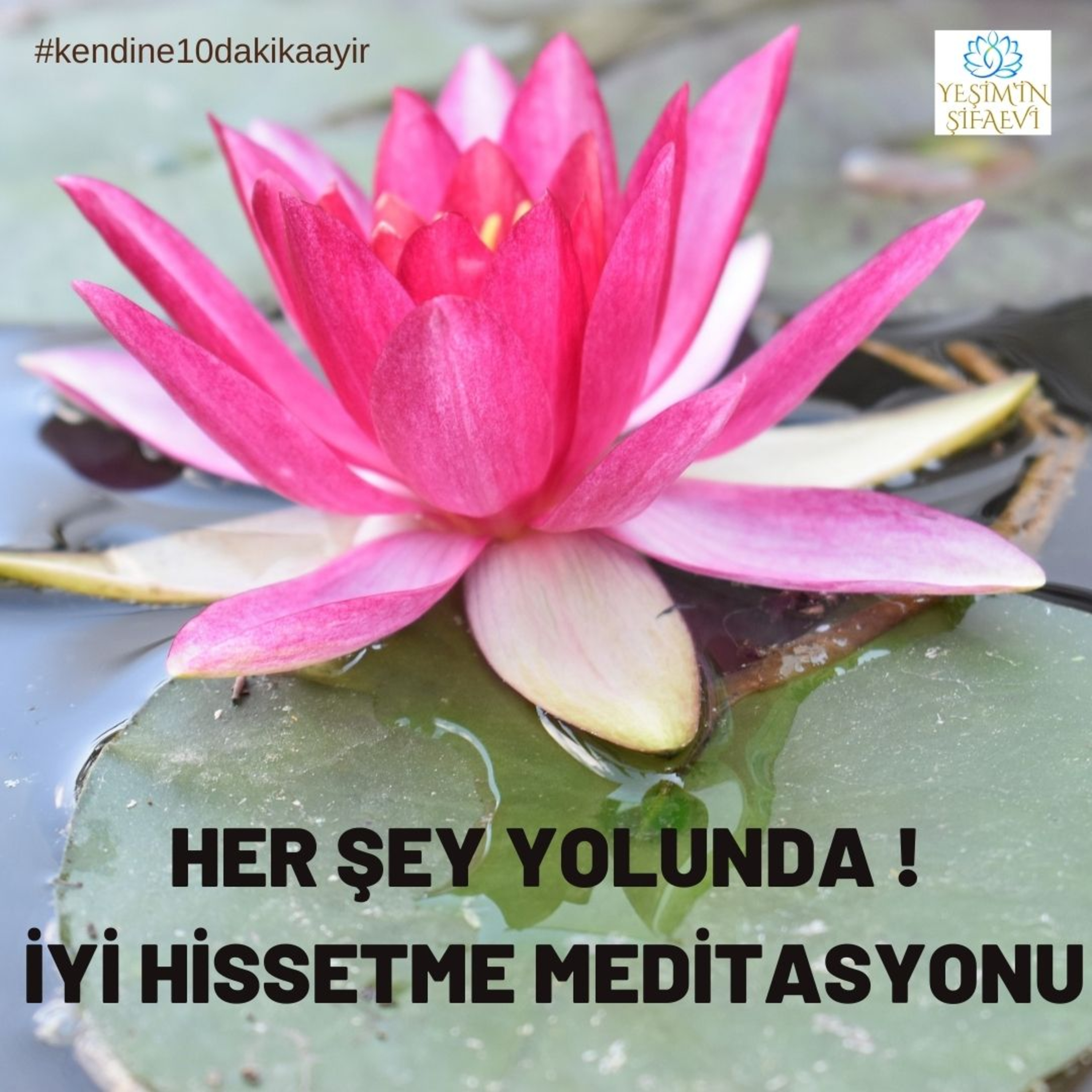 Yeşim\'in ŞifaEvi