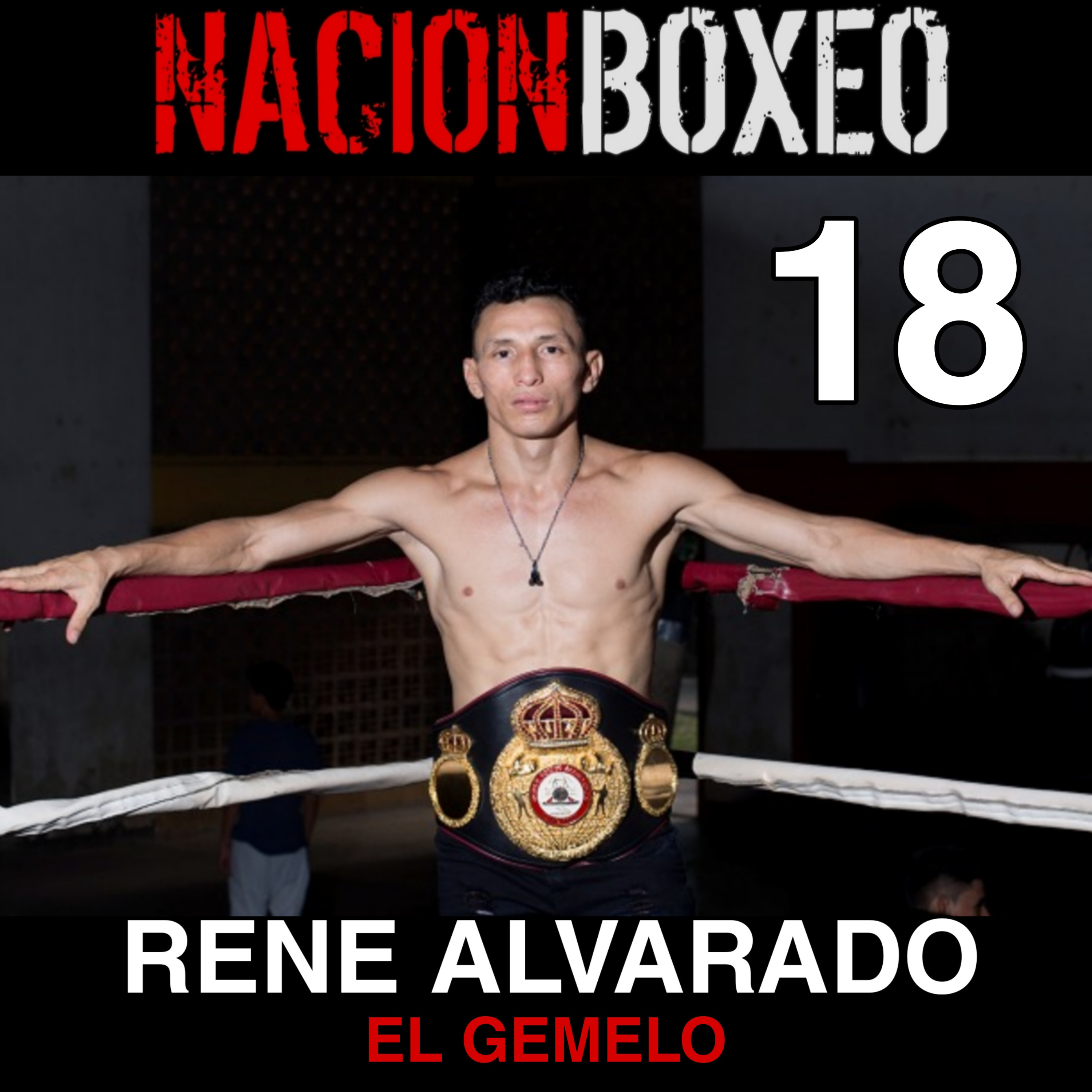 NACION BOXEO