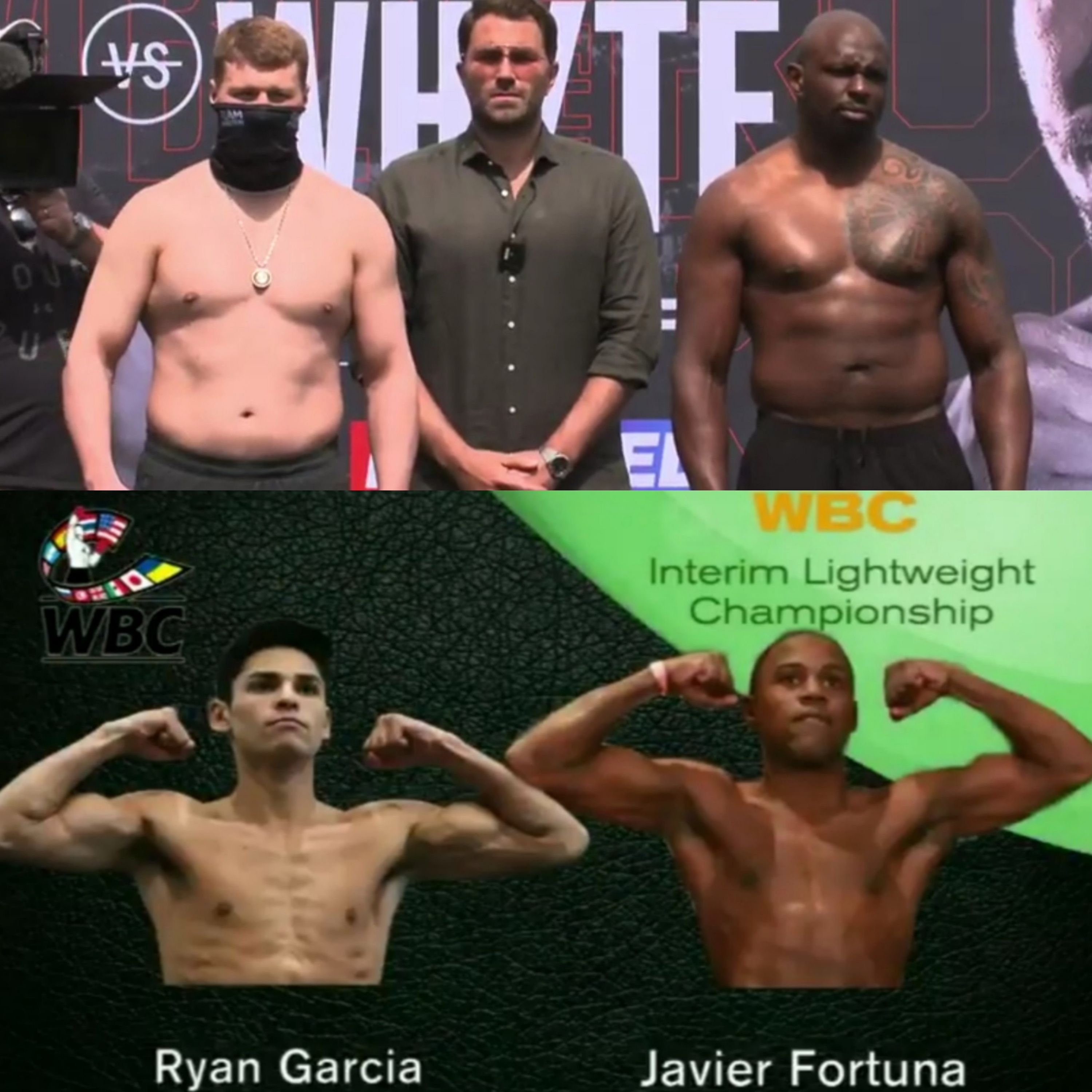 NACION BOXEO