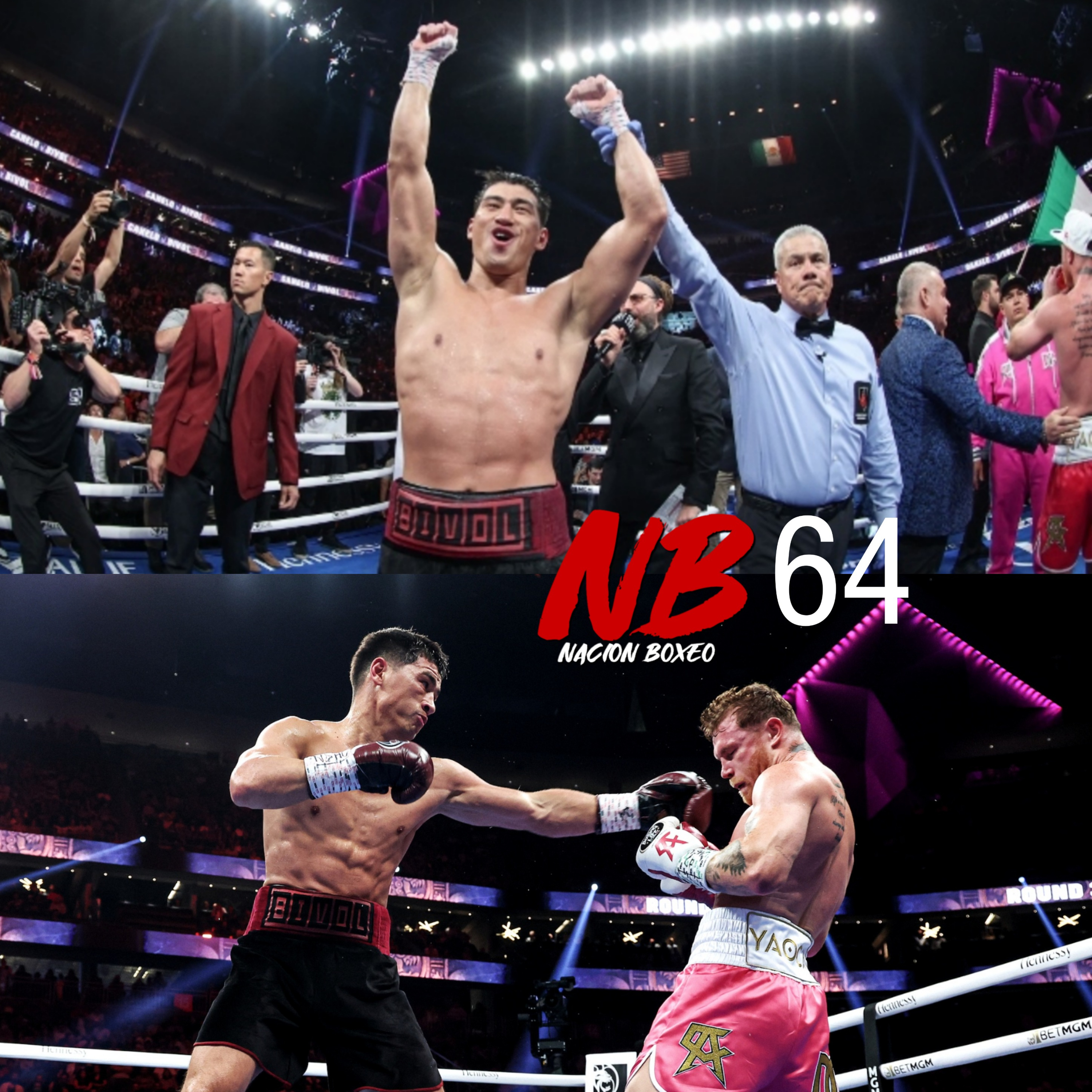 NACION BOXEO
