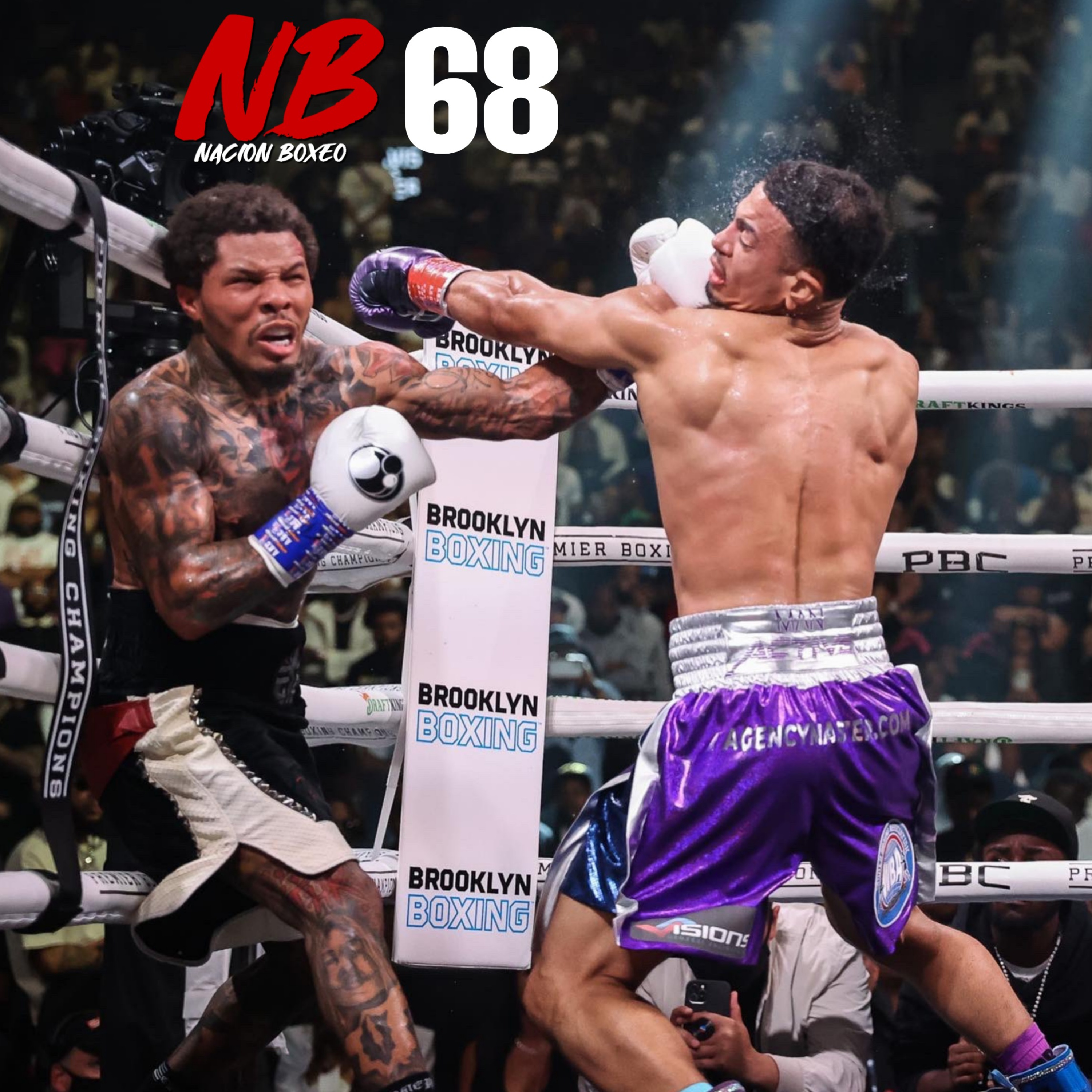 NACION BOXEO
