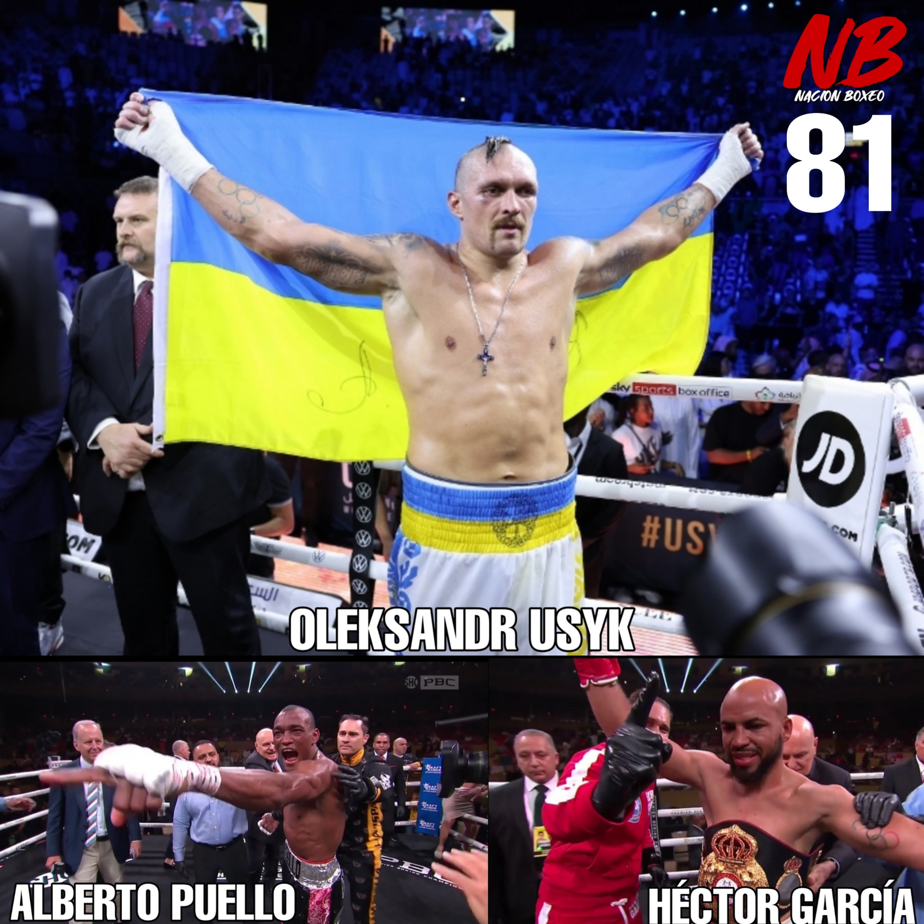 NACION BOXEO
