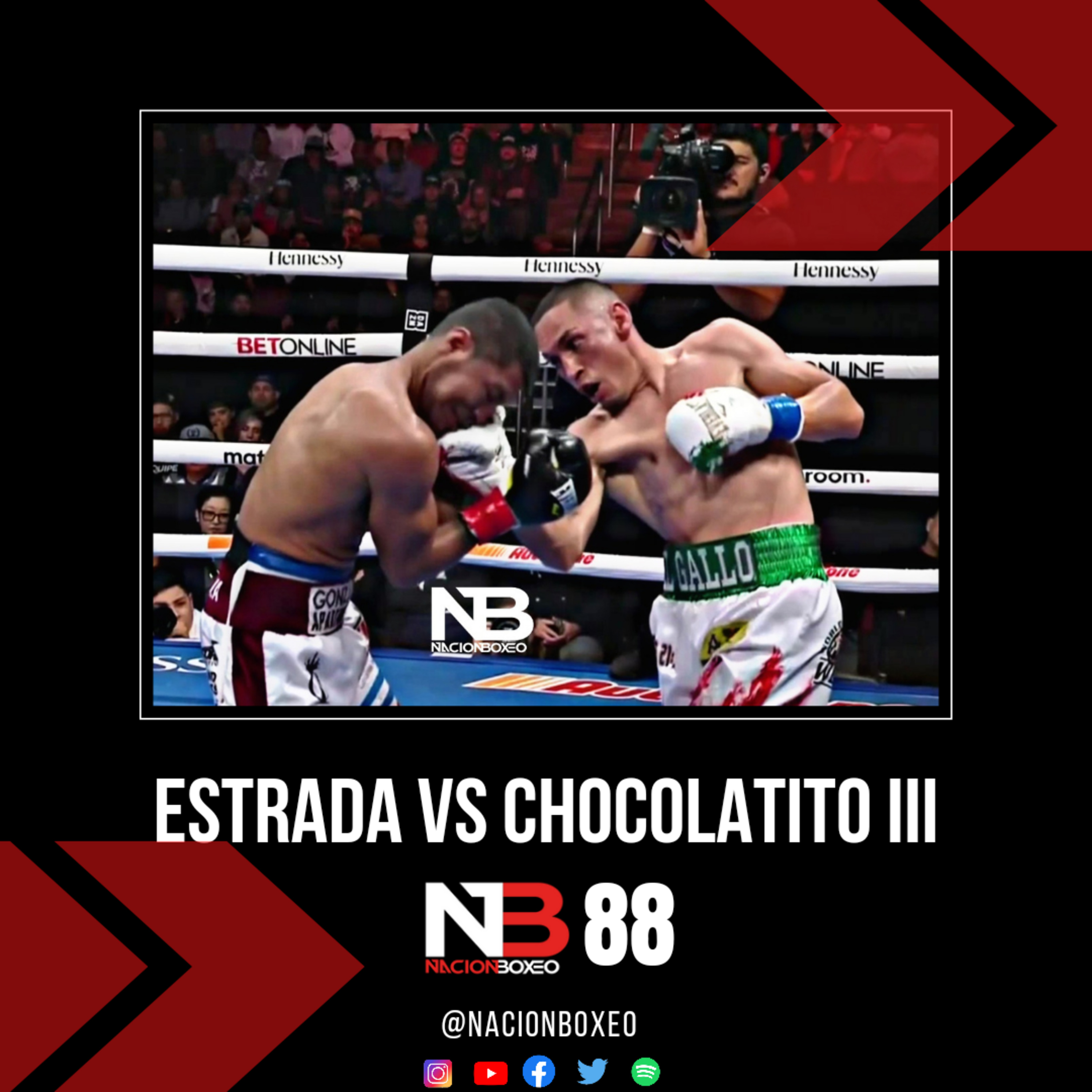 NACION BOXEO
