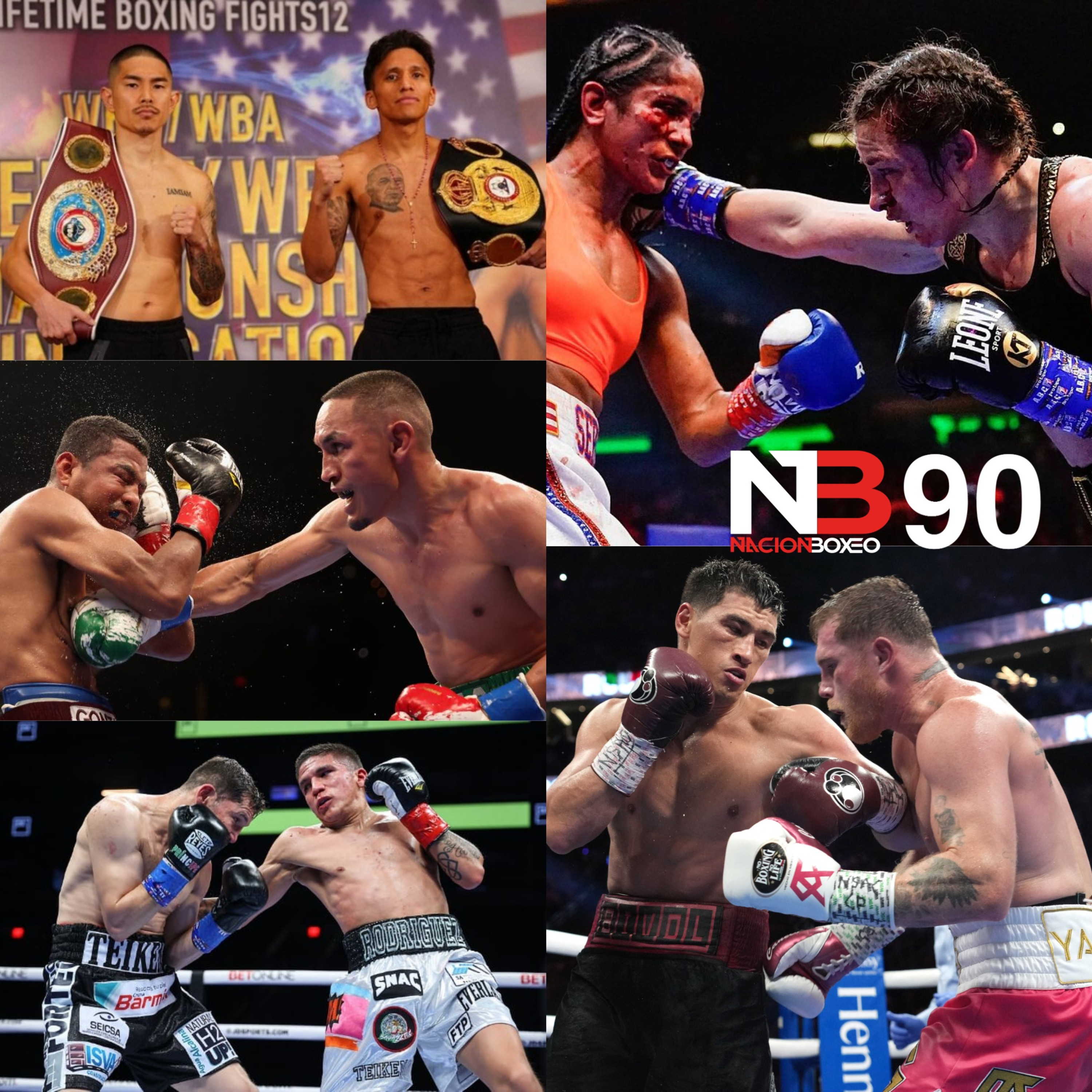 NACION BOXEO