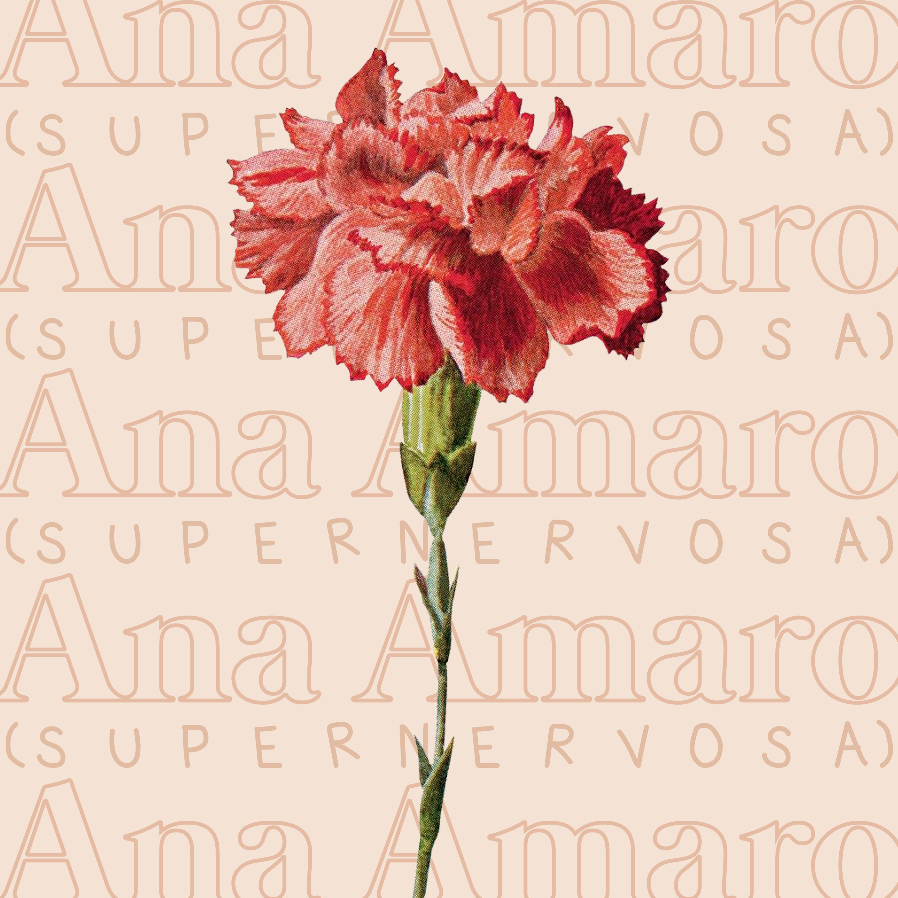 Ana (Super Nervosa) Amaro