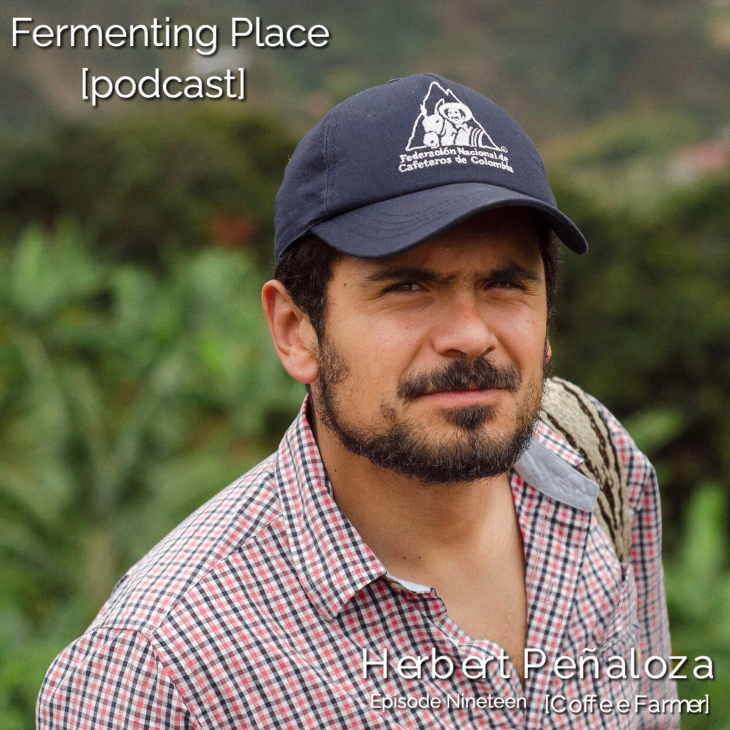 Fermenting Place