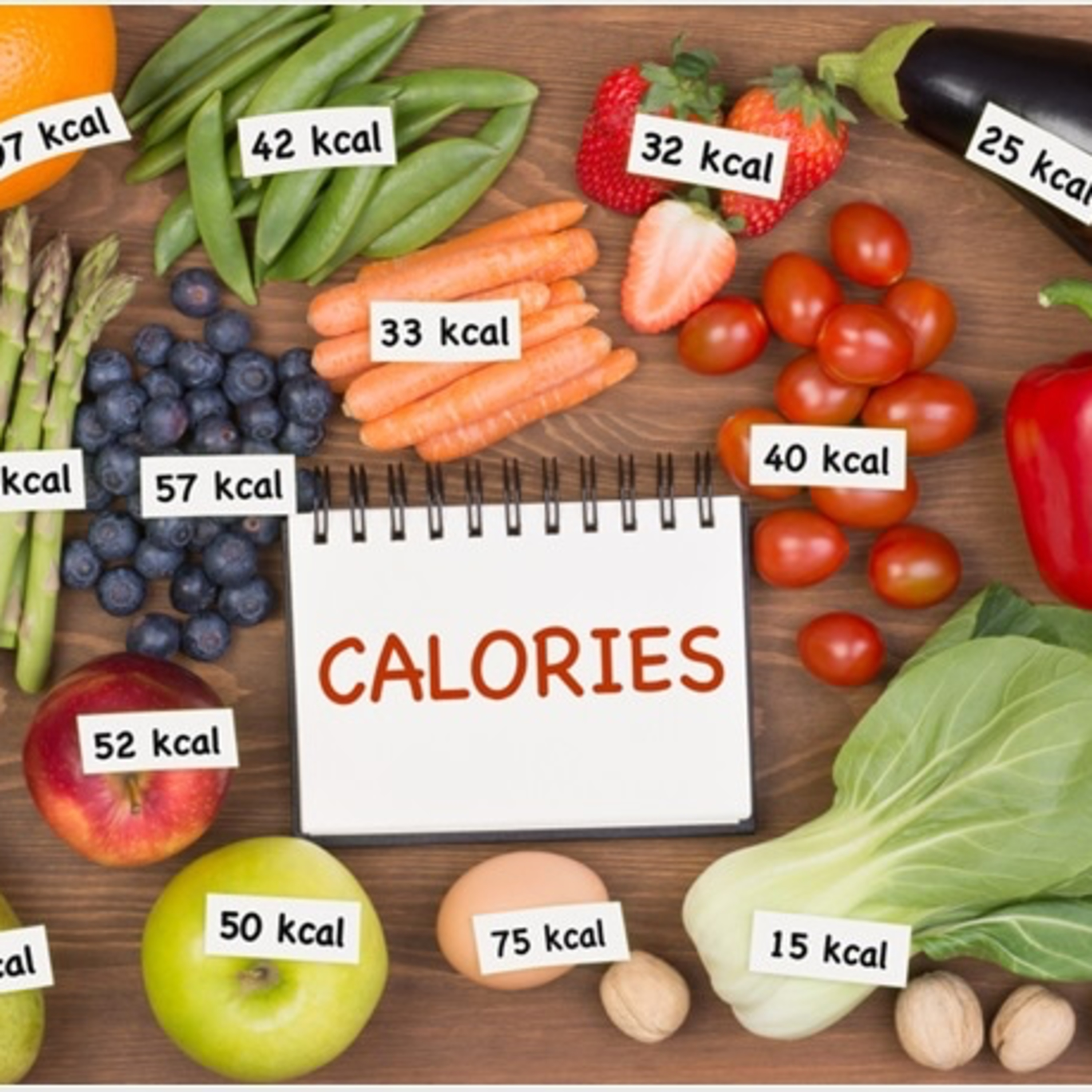 REPLAY-Performance Insight: Calories, Energy and How It All Works