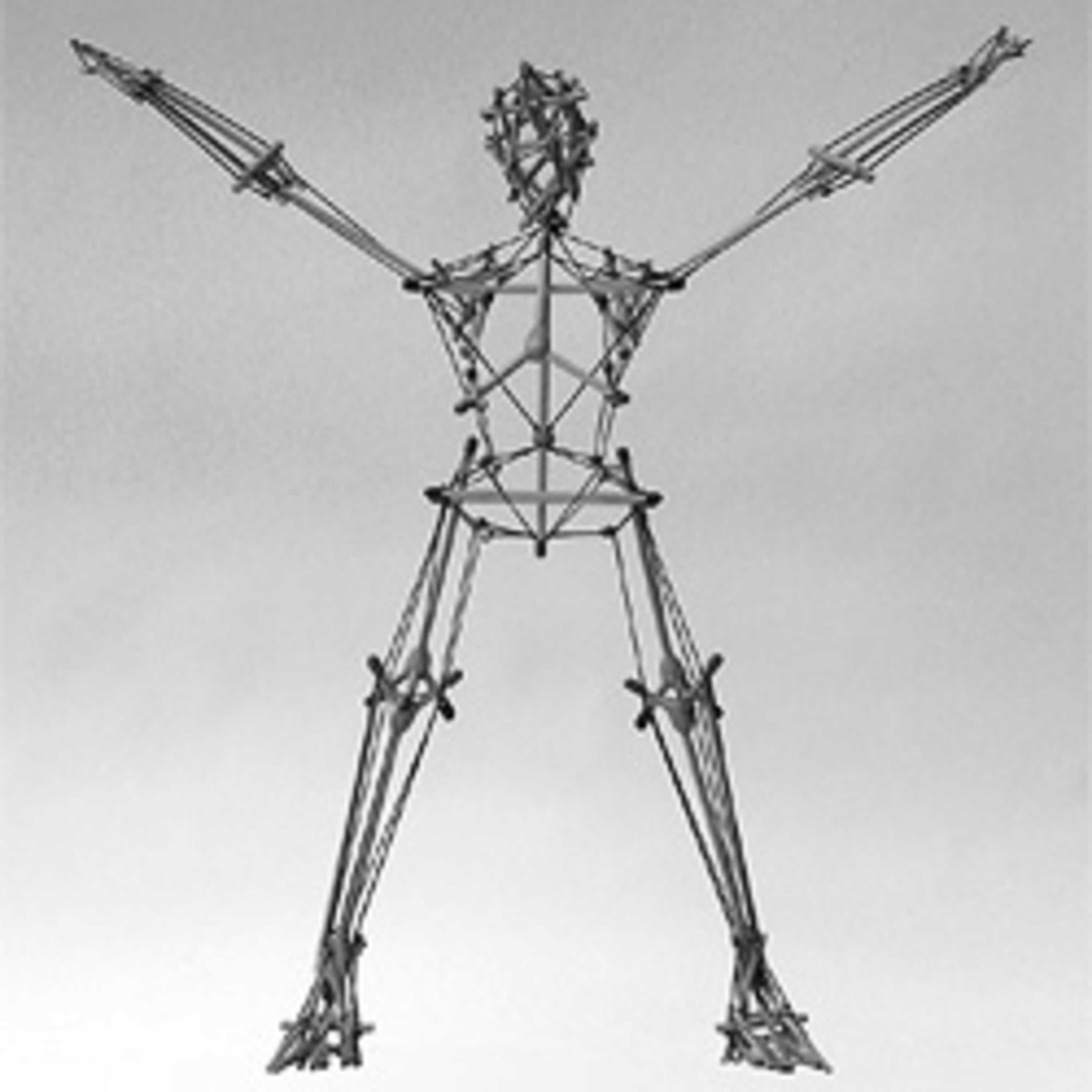 CI: Tensegrity and Spinal Position
