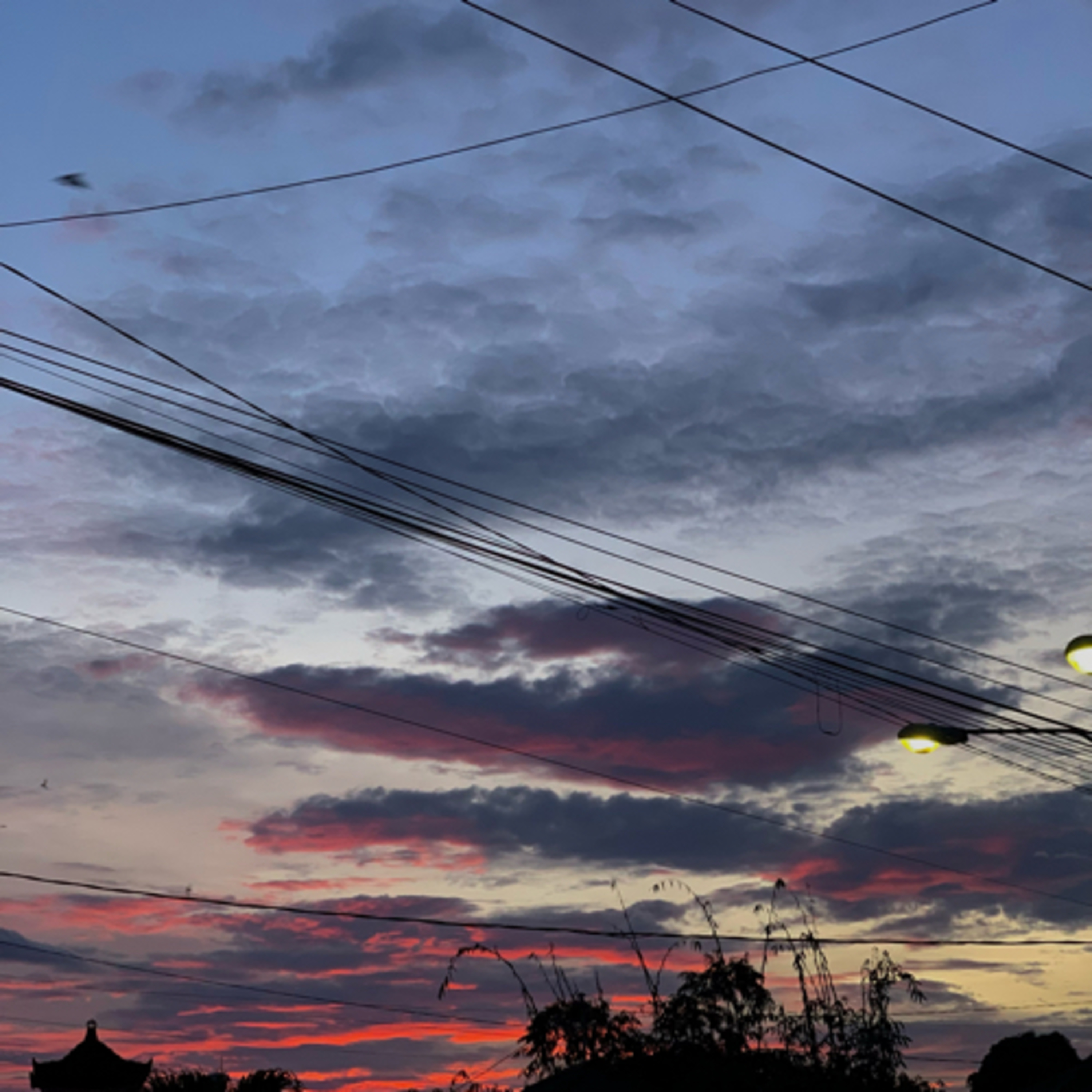 sendunya senja