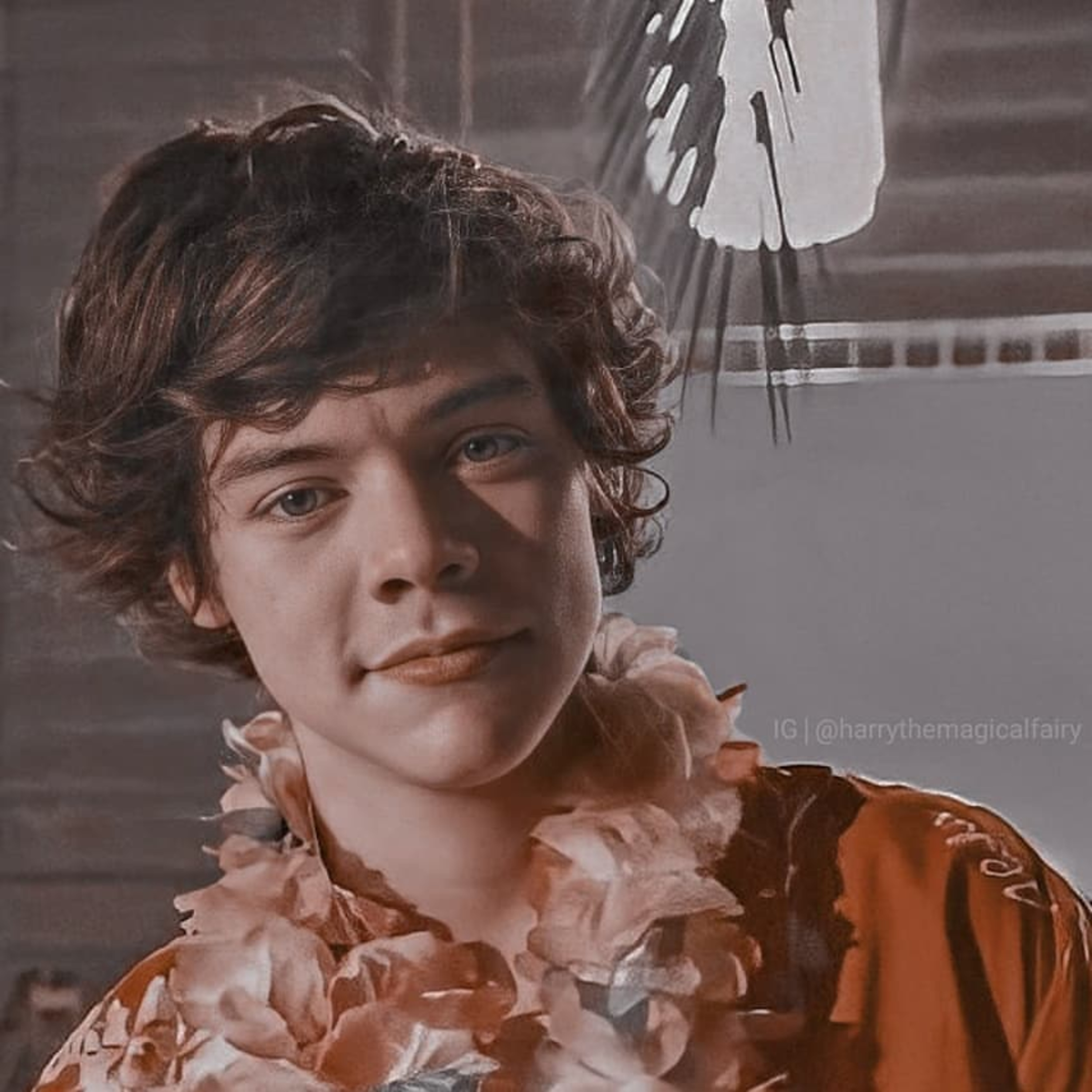I\'m chill with Harry Styles