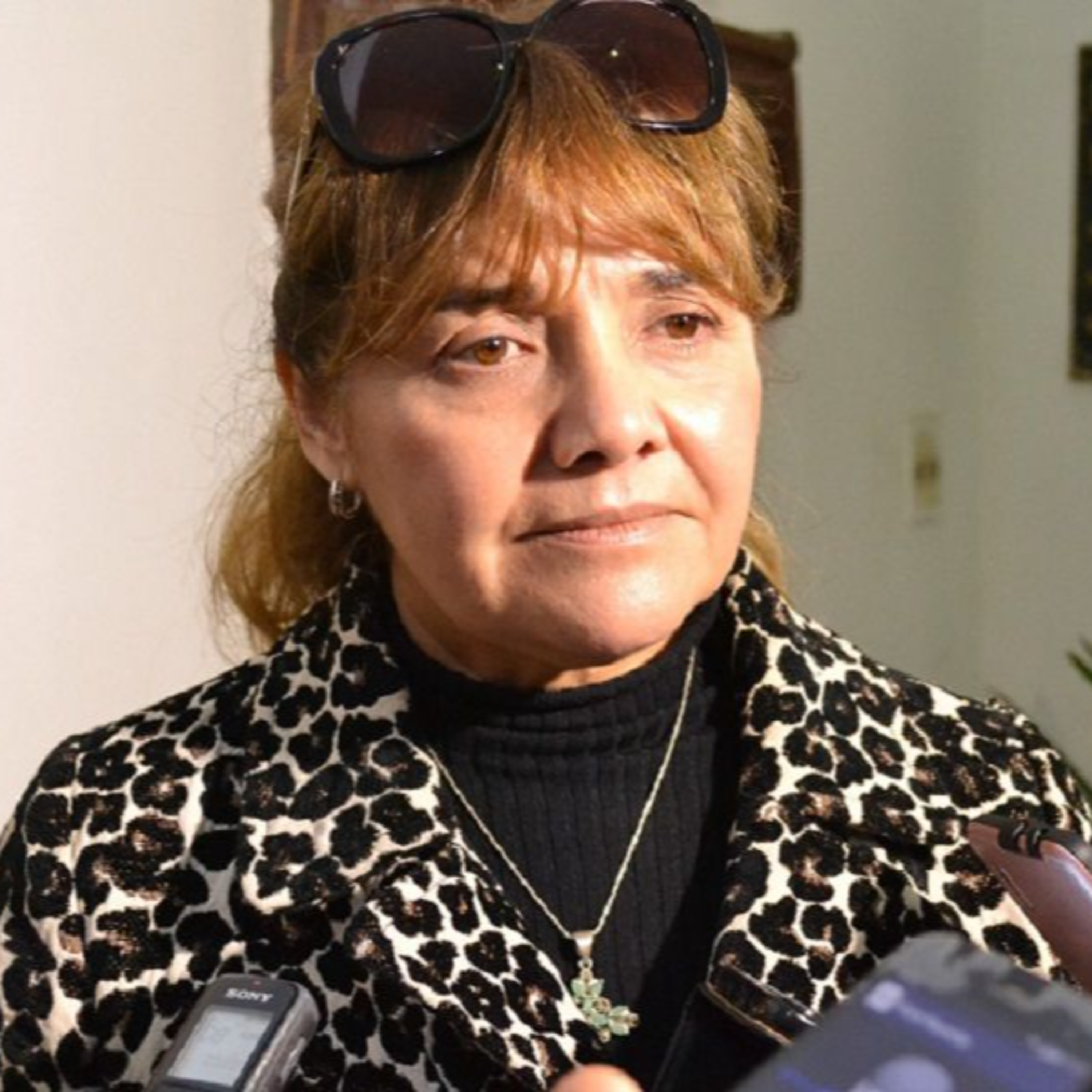 Verónica Larcher “Apuntamos al trabajo joven y al sueldo de los santiagueños" episode artwork