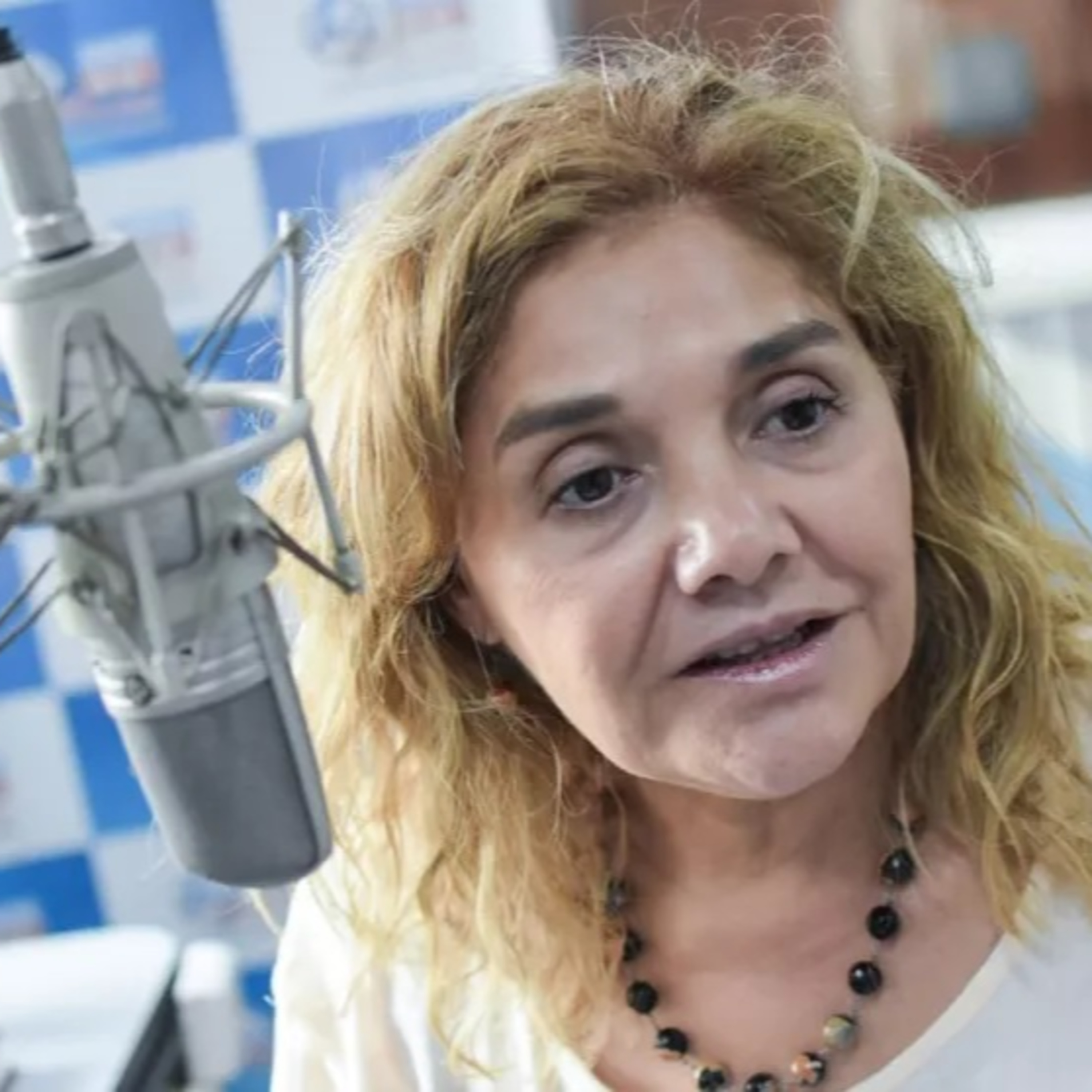 Verónica Larcher "Mañana presentaremos el proyecto de 'Ficha Limpia'" episode artwork