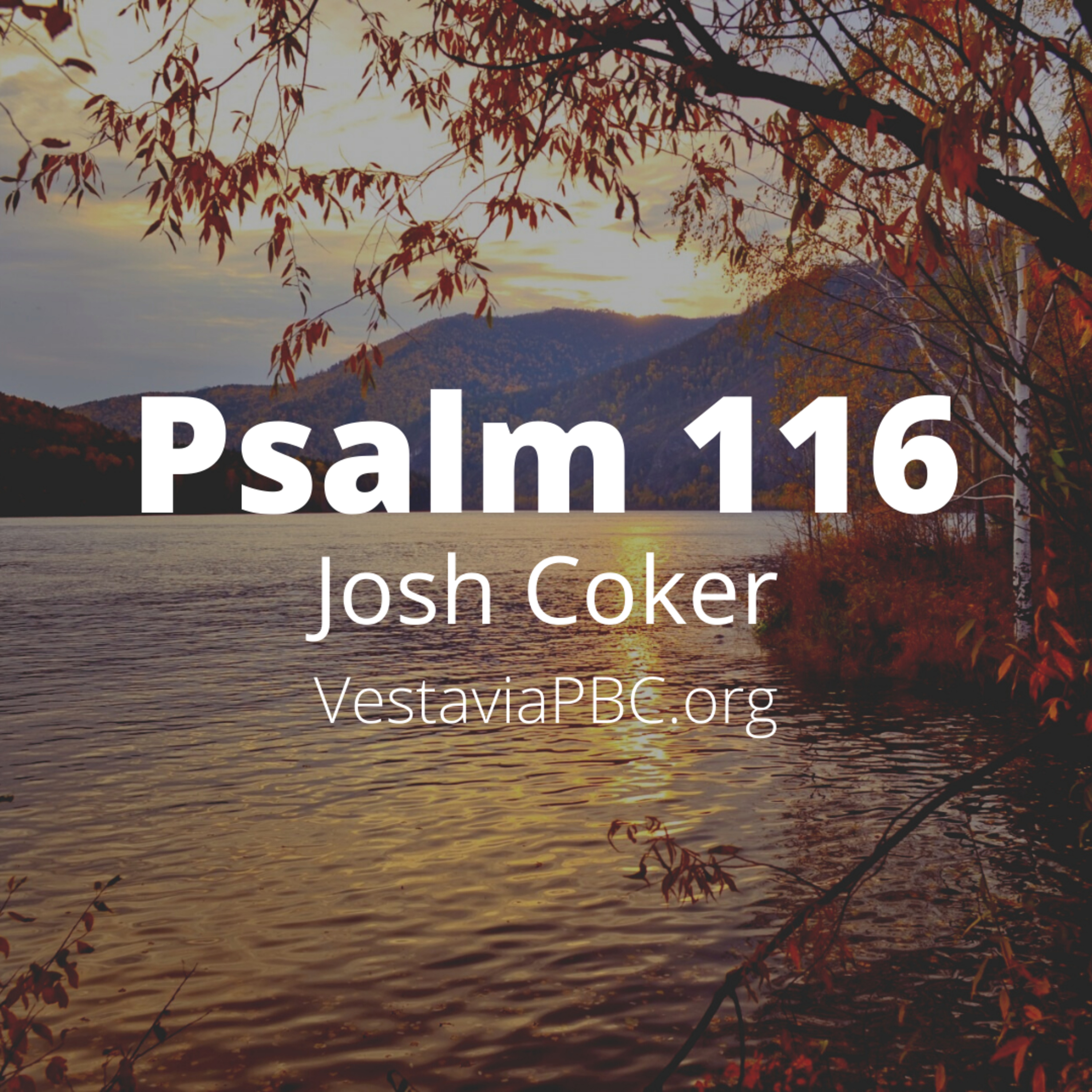Psalm 116 (Josh Coker) - 9/6/20201 episode artwork