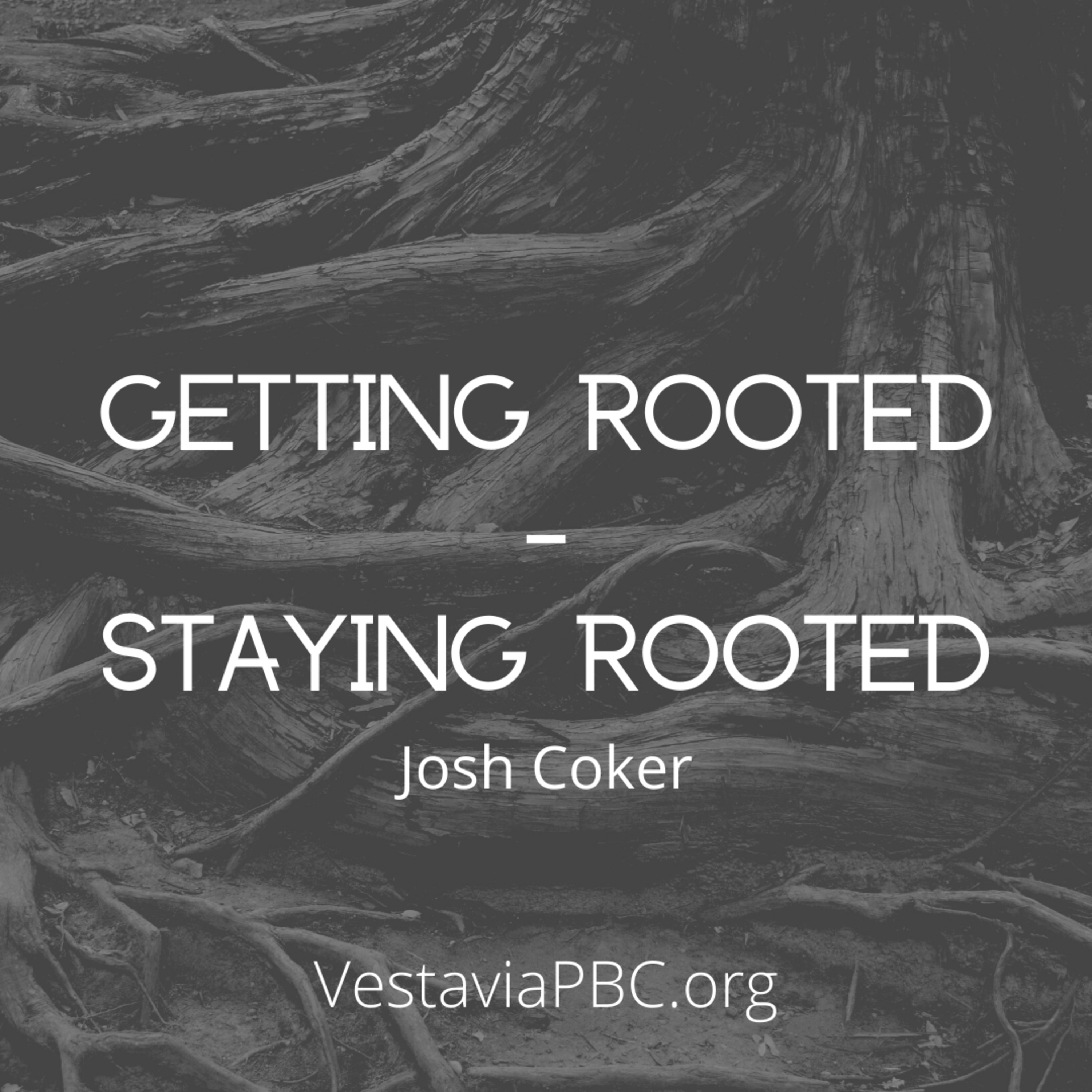 Getting Rooted. Staying Rooted. (Josh Coker) - 10/31/2021 episode artwork