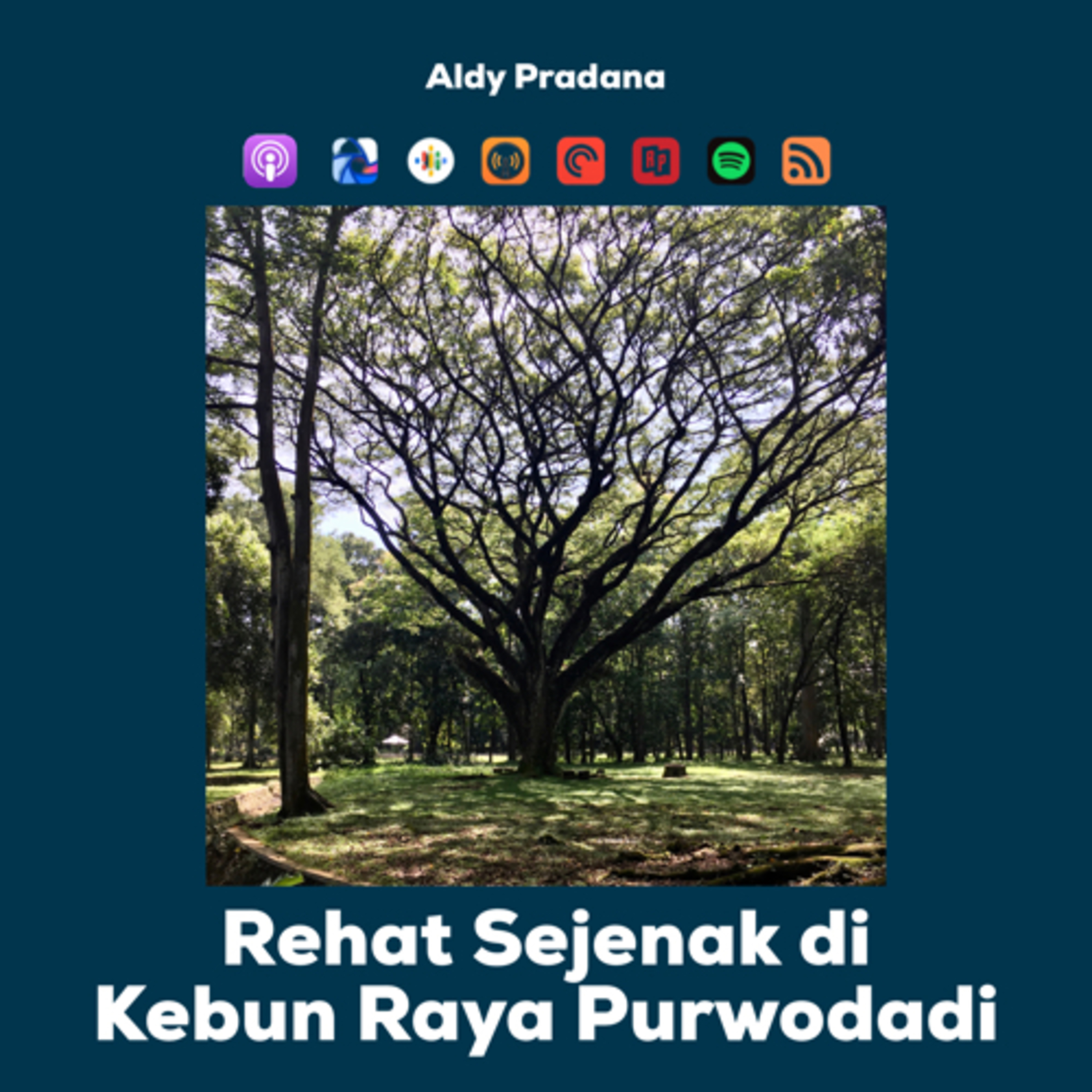 Podcast Aldy Pradana