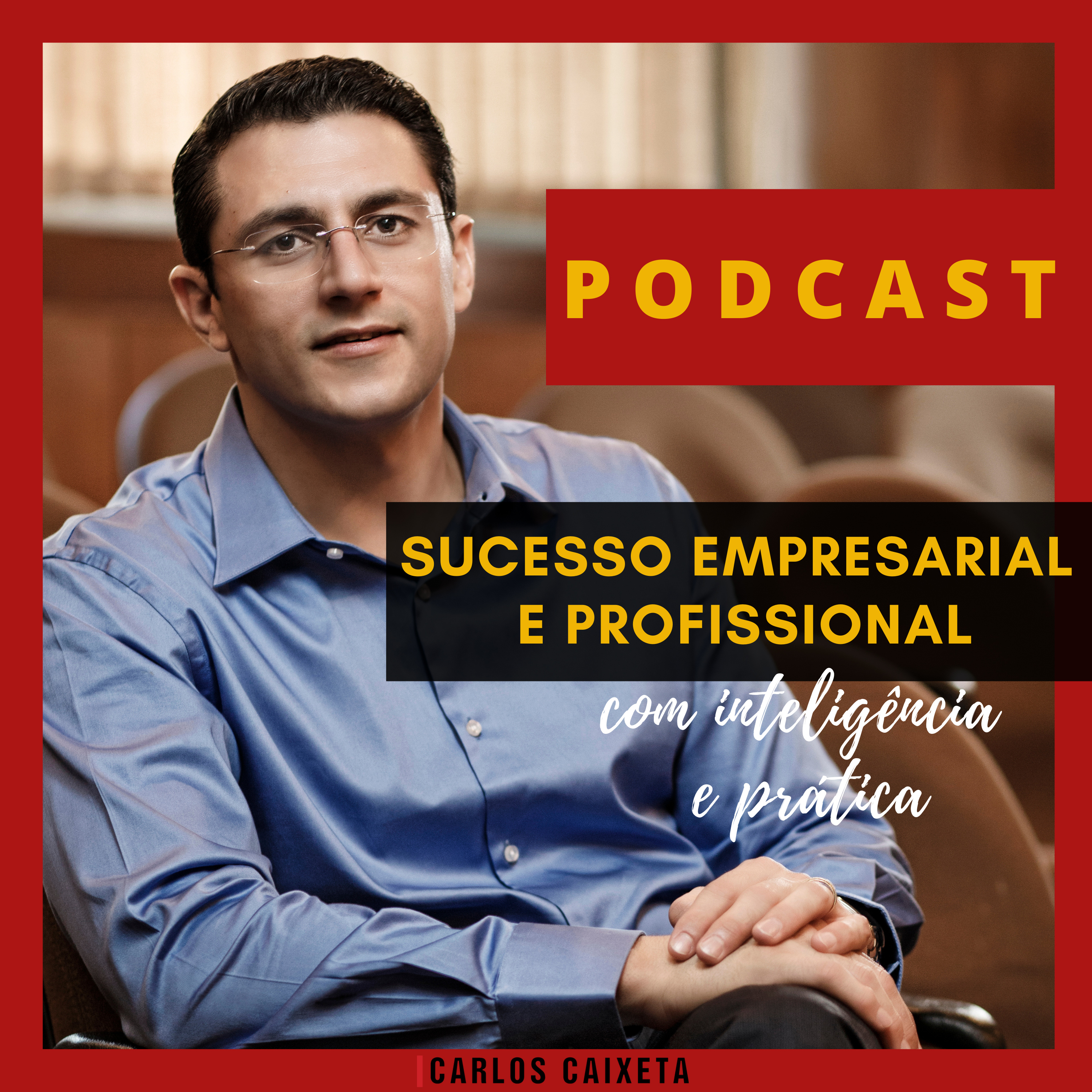 Sucesso Empresarial e Profissional com Inteligência e Prática