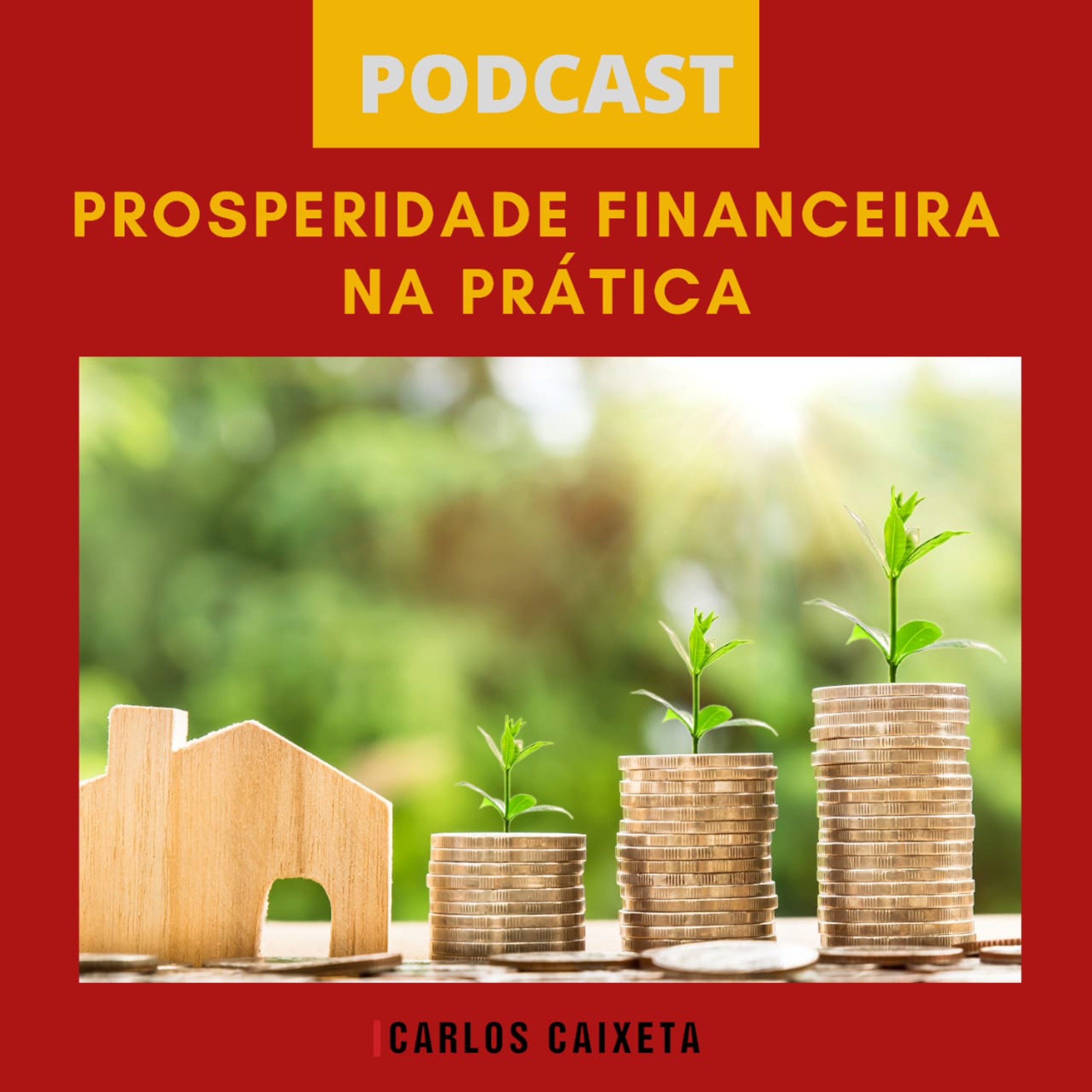 Sucesso Empresarial e Profissional com Inteligência e Prática