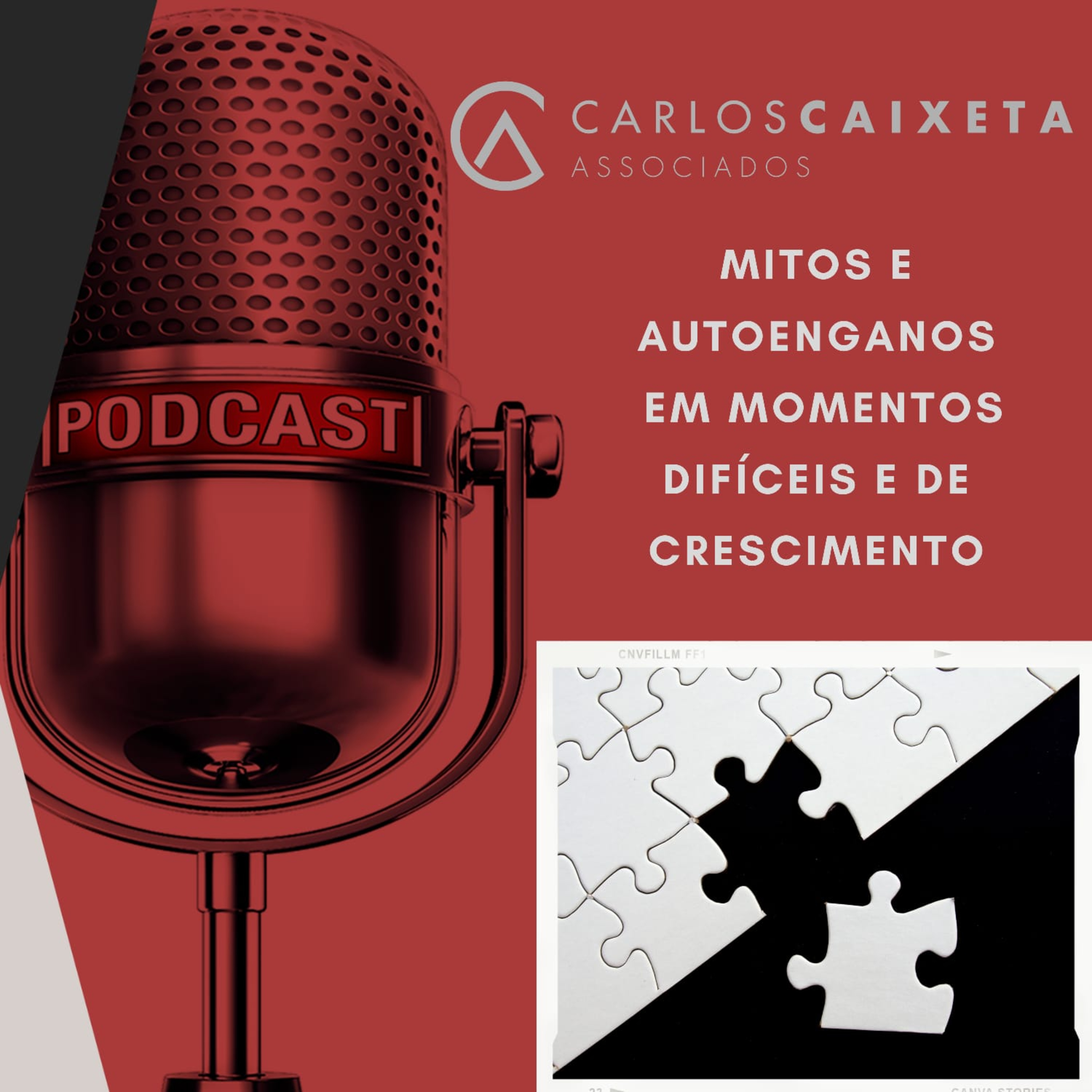 Sucesso Empresarial e Profissional com Inteligência e Prática