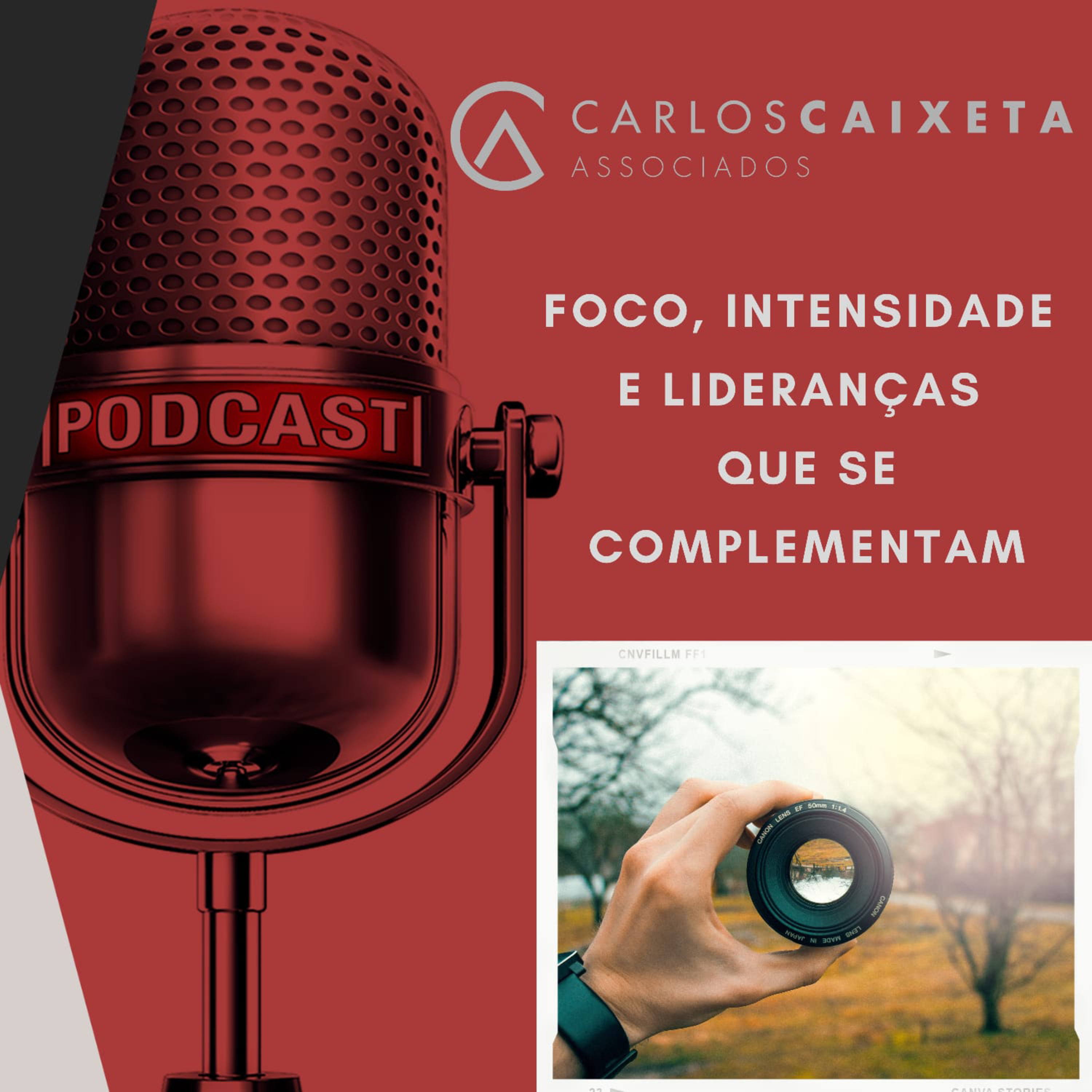 Sucesso Empresarial e Profissional com Inteligência e Prática