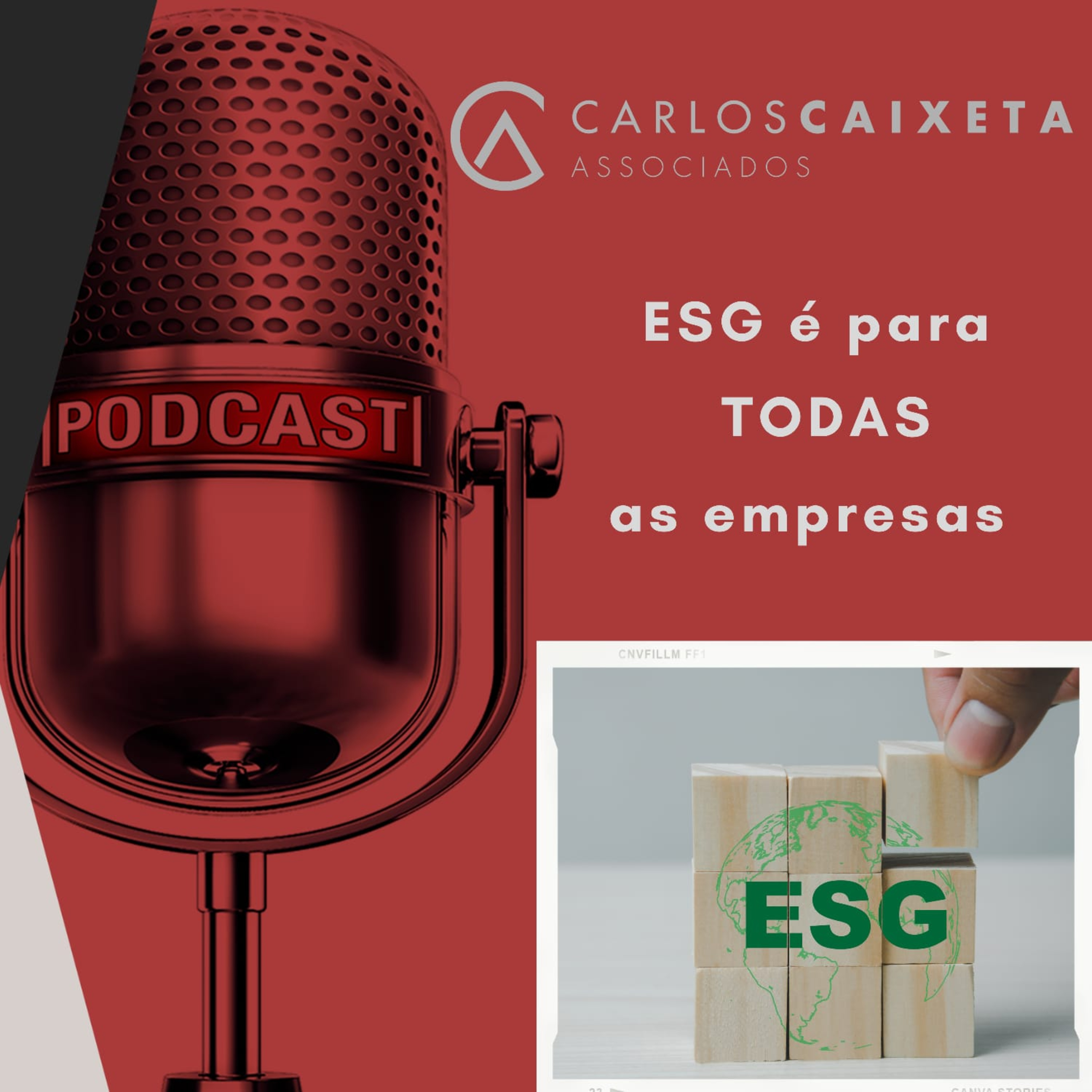 Sucesso Empresarial e Profissional com Inteligência e Prática