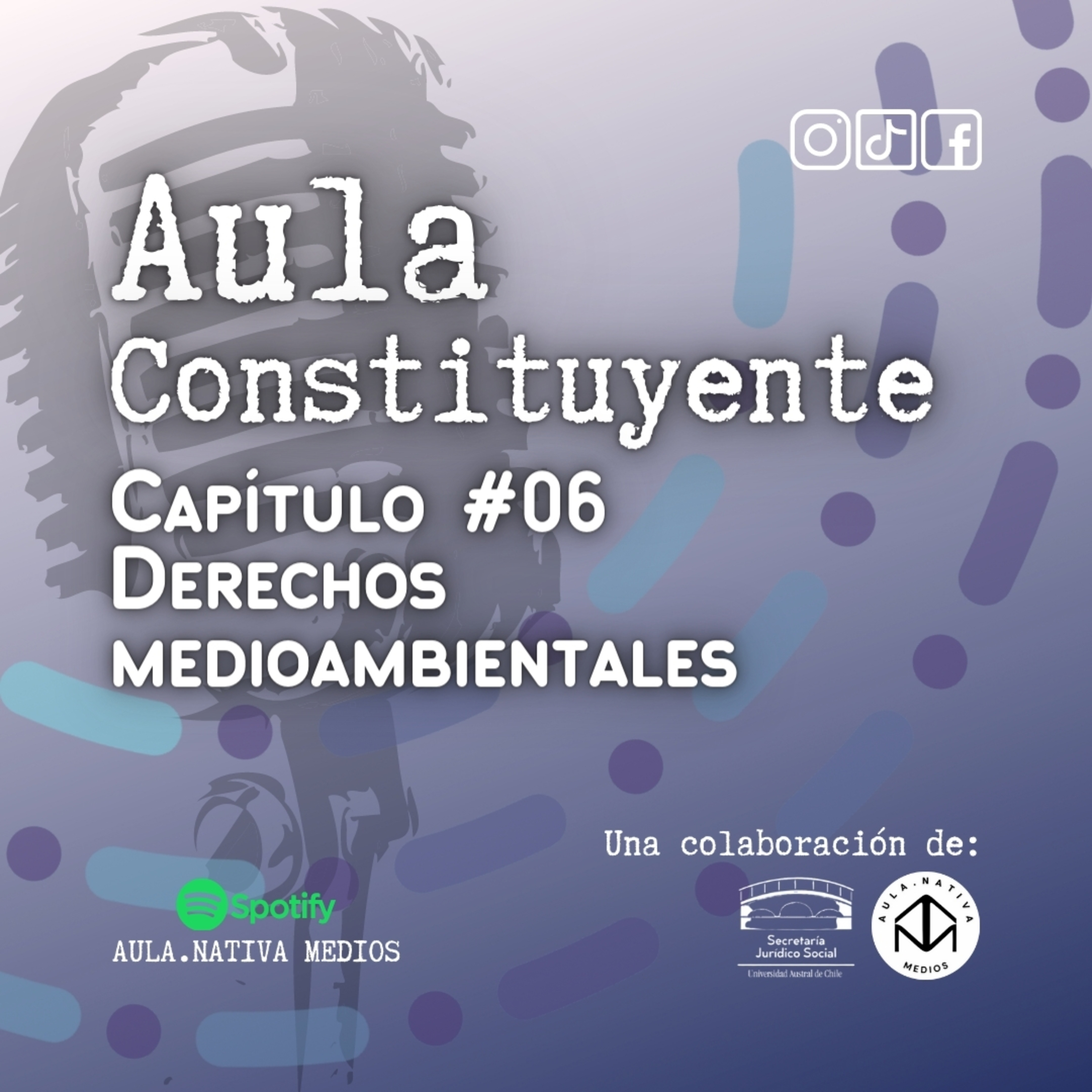 Aula.Nativa Medios