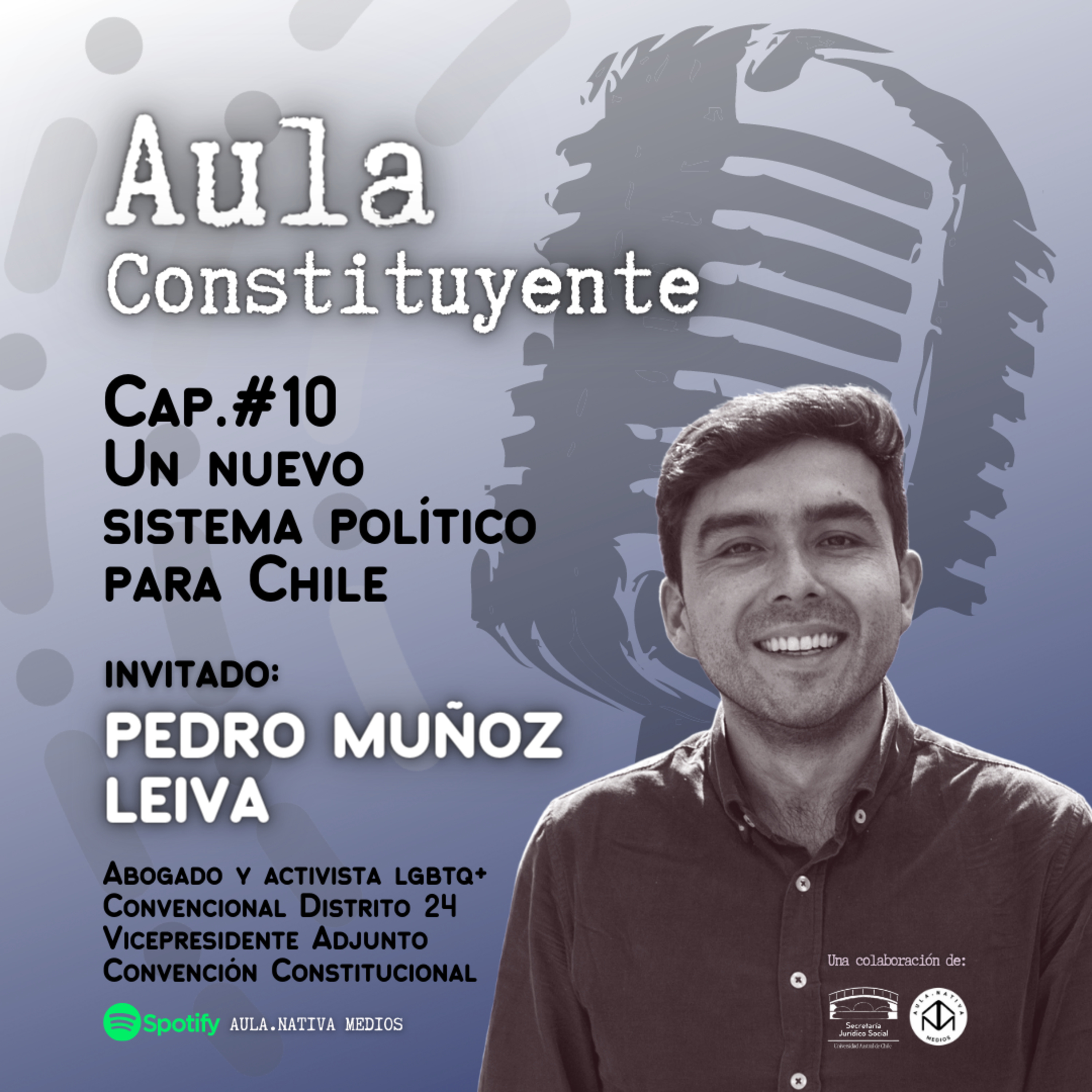 Aula.Nativa Medios