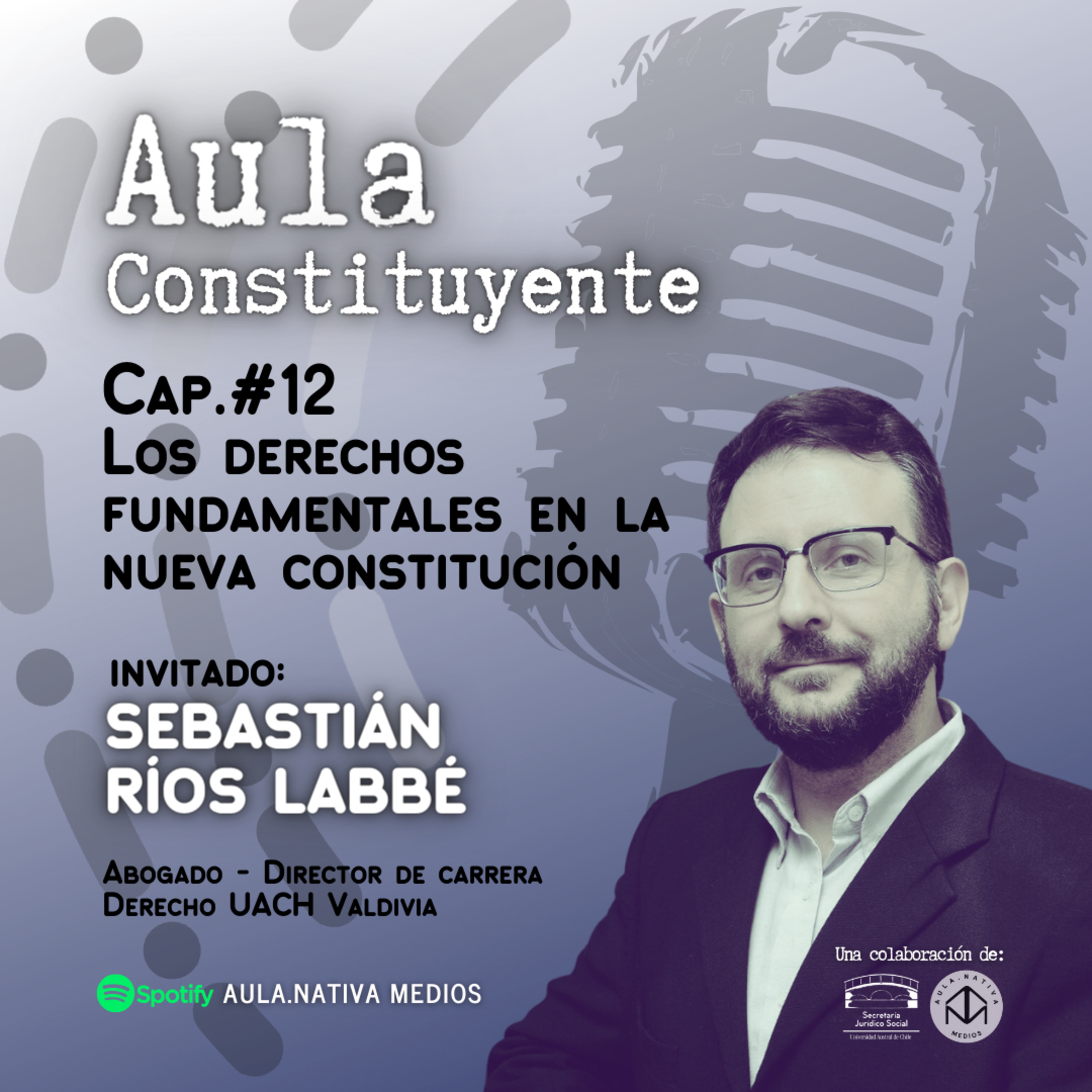Aula.Nativa Medios