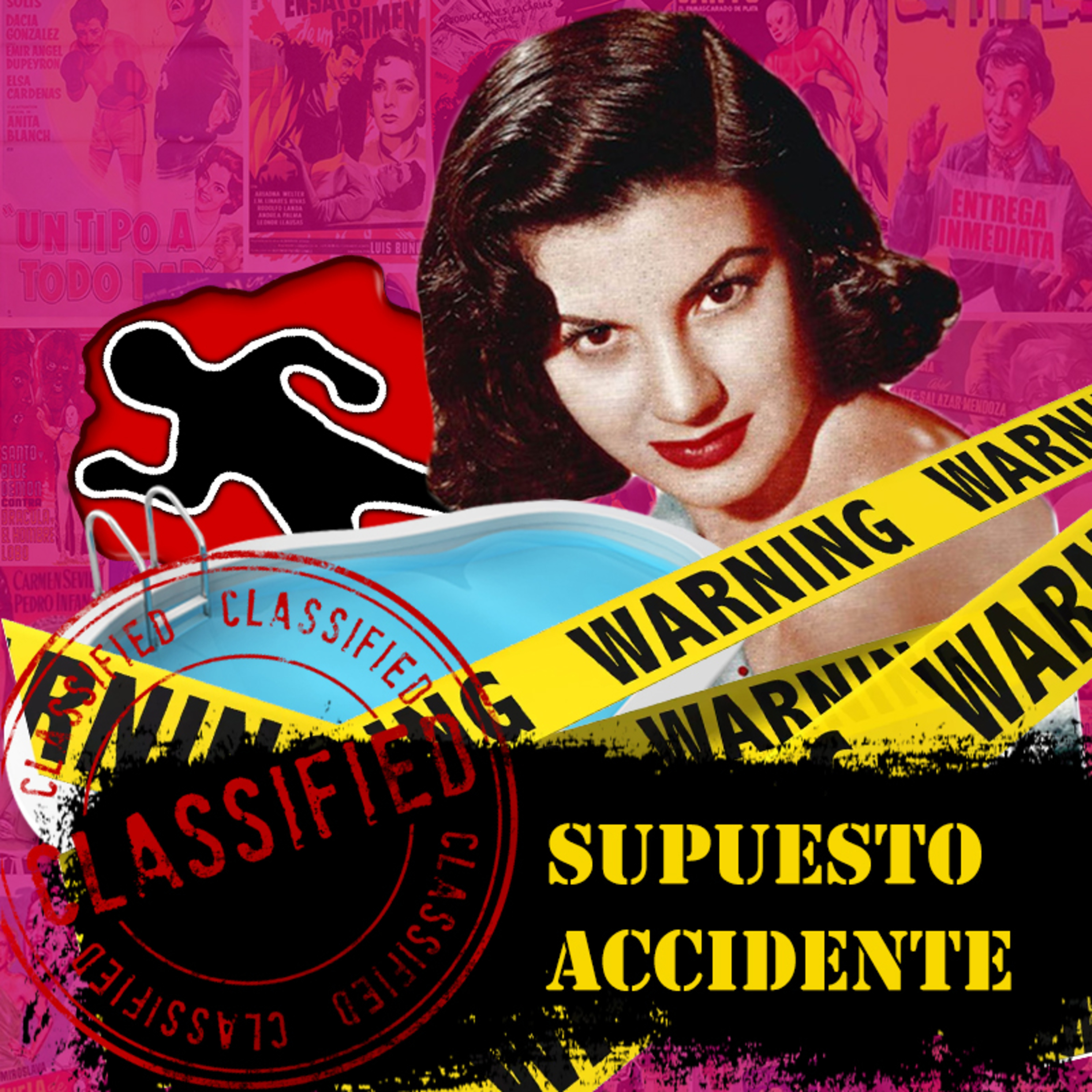 El supuesto asesinato en la casa de Ana Luisa Peluffo episode artwork