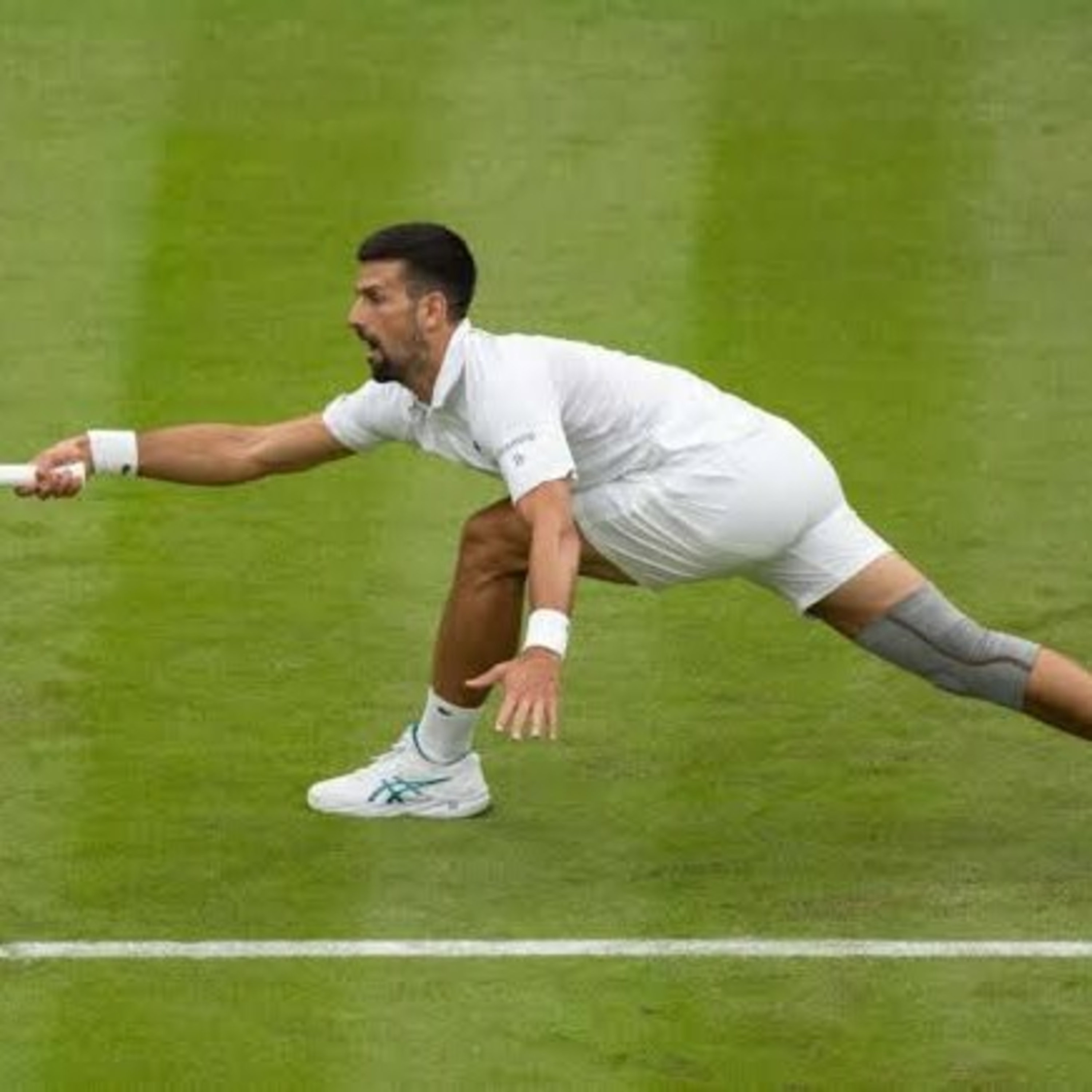 Mundo do Tenis