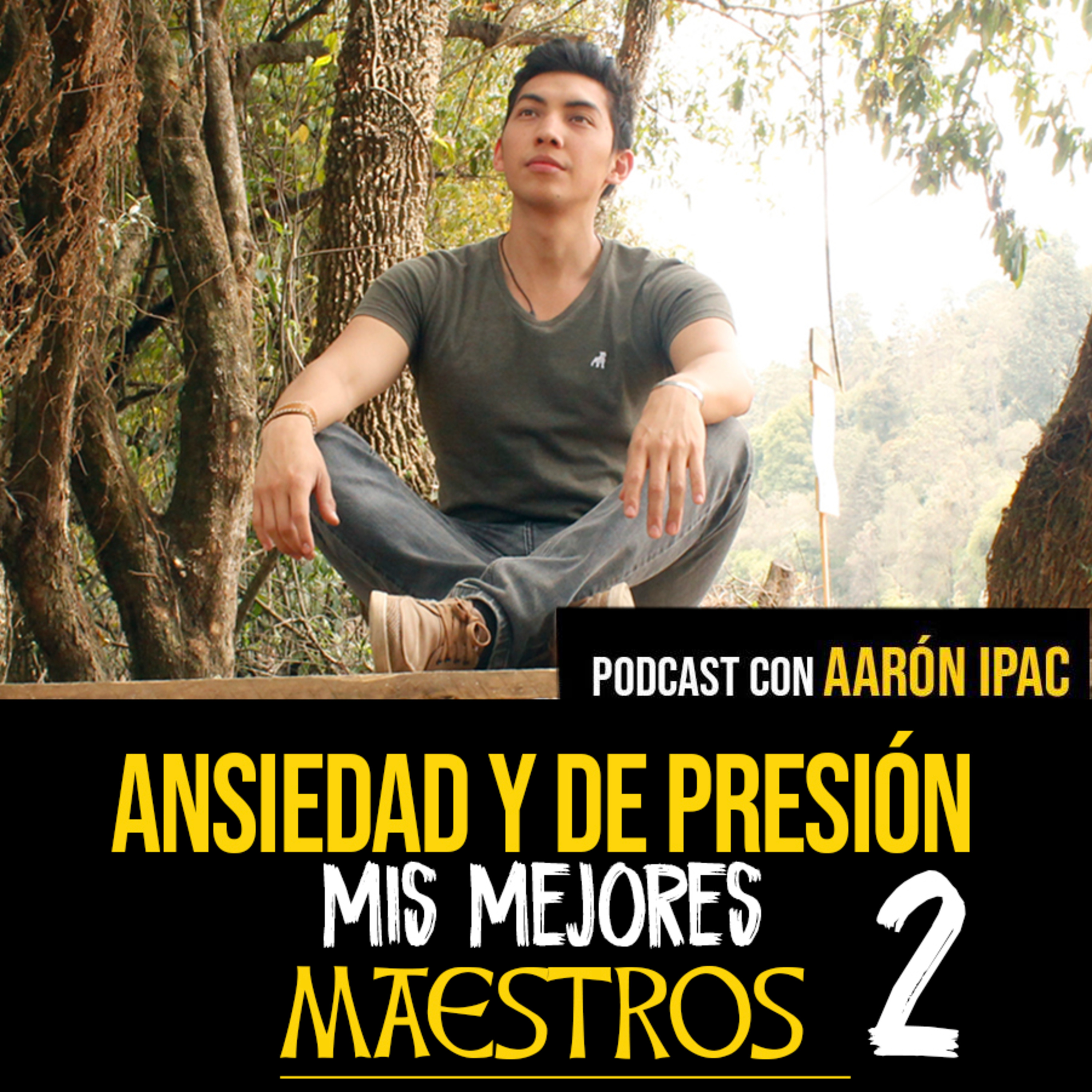 Ansiedad y Depresión - Mis Mejores Maestros