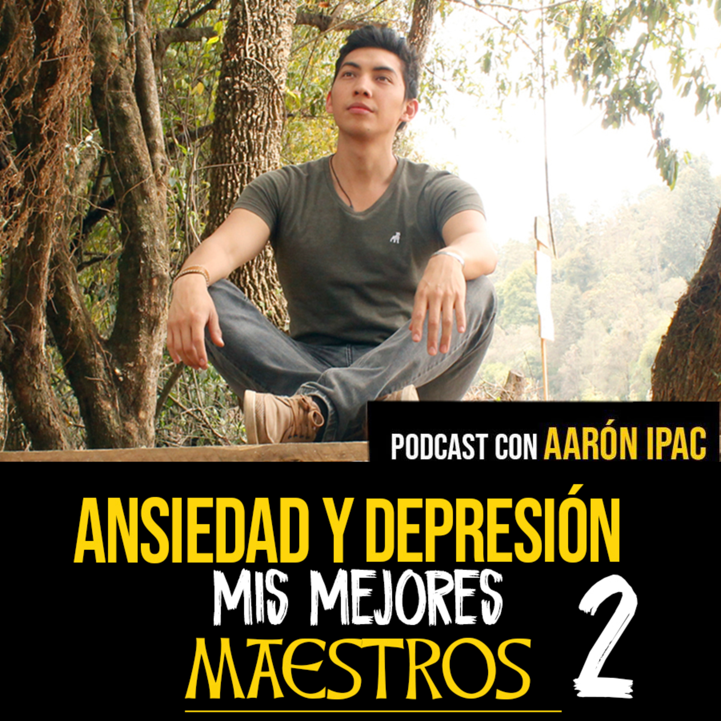 Ansiedad y Depresión - Mis Mejores Maestros