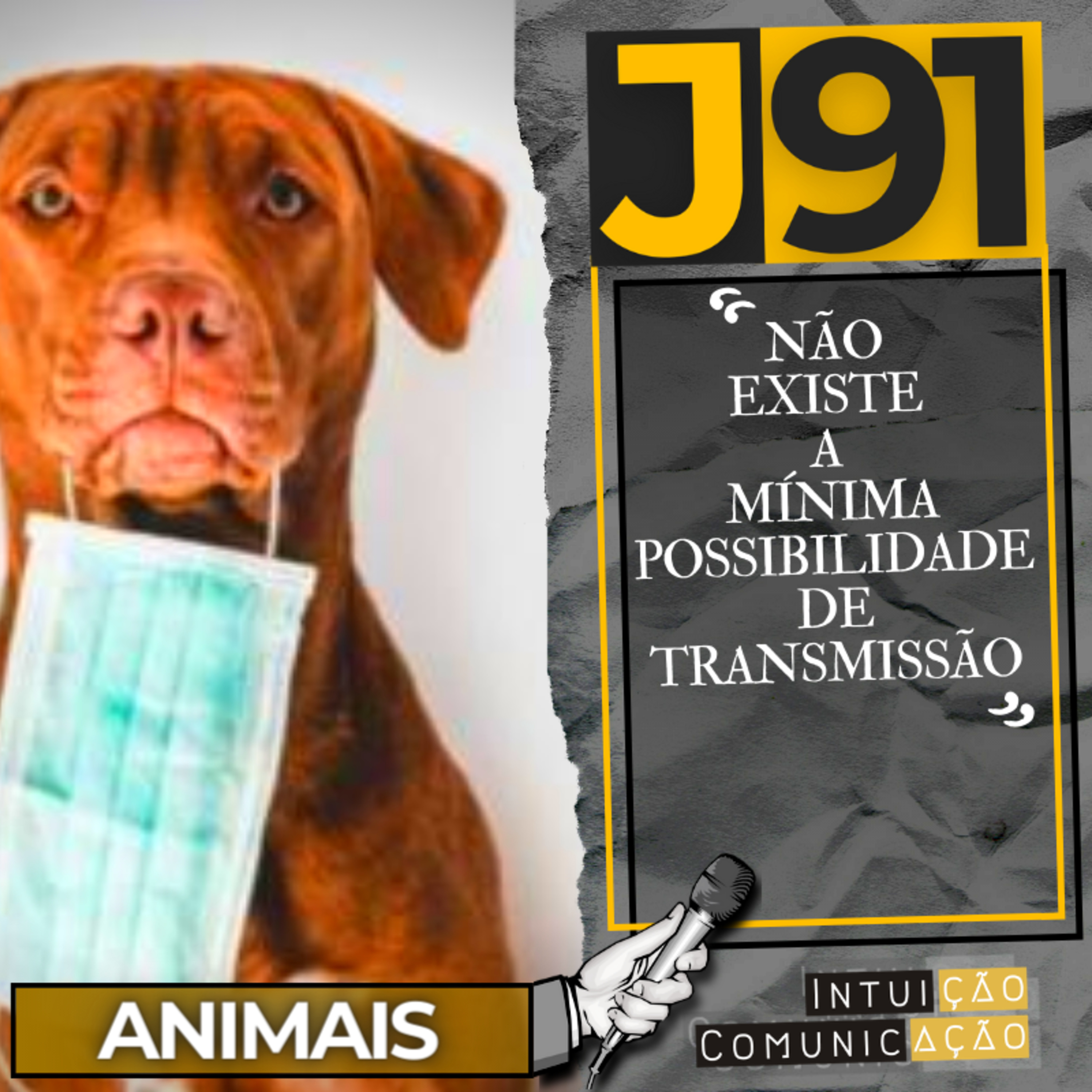 Intuição Comunicação