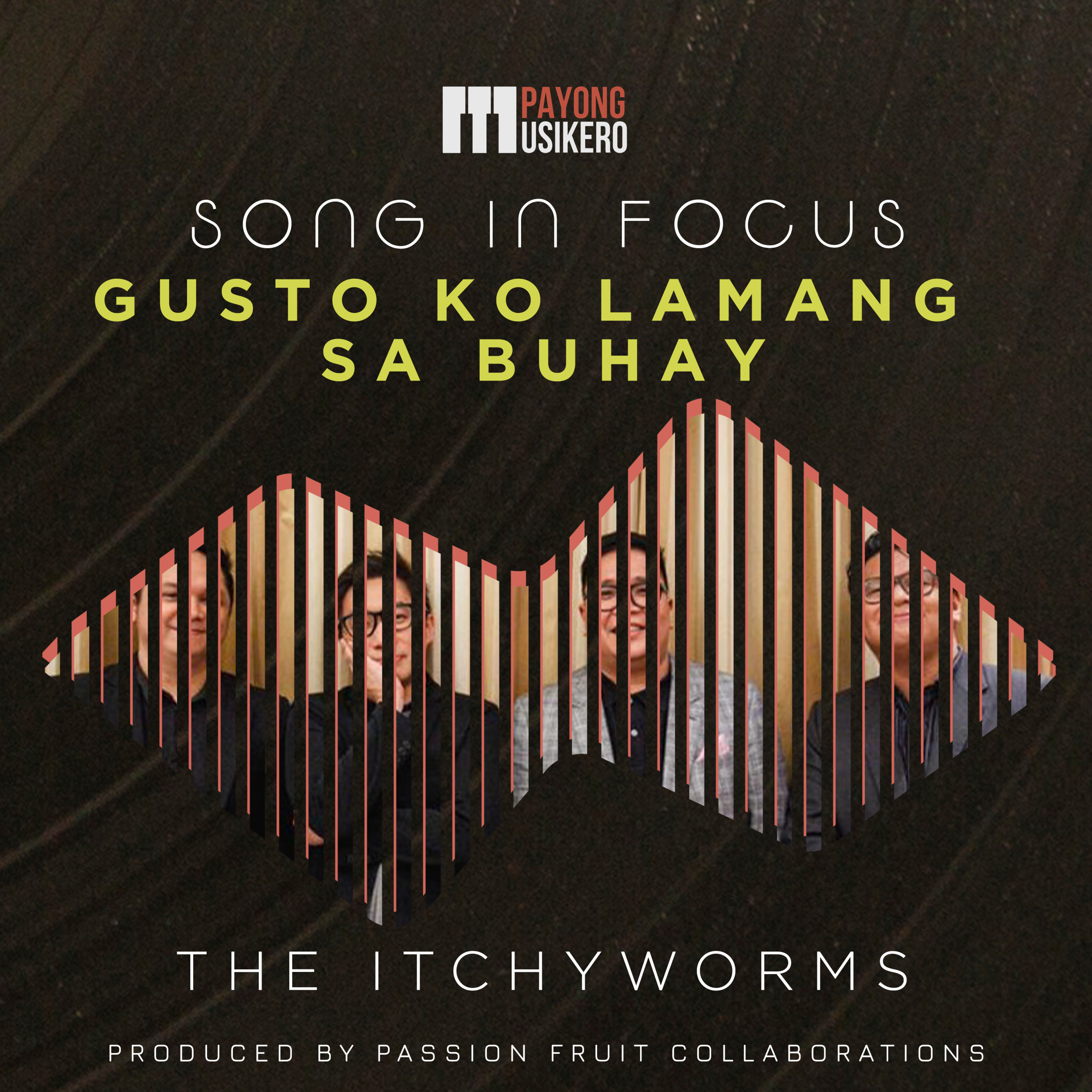 Song In Focus
