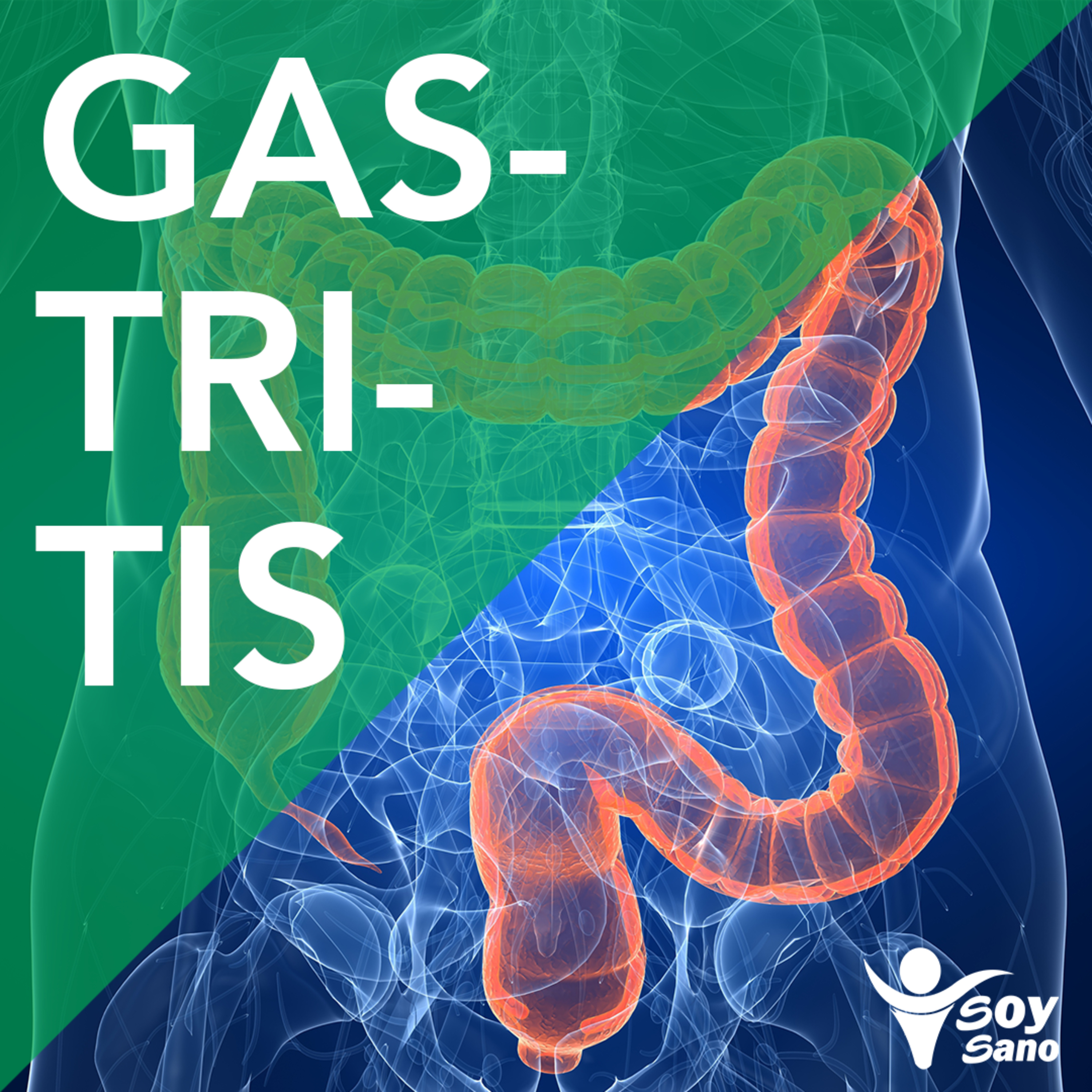 ¡Elimine problemas gastrointestinales y mantenga un organismo en buen estado!
