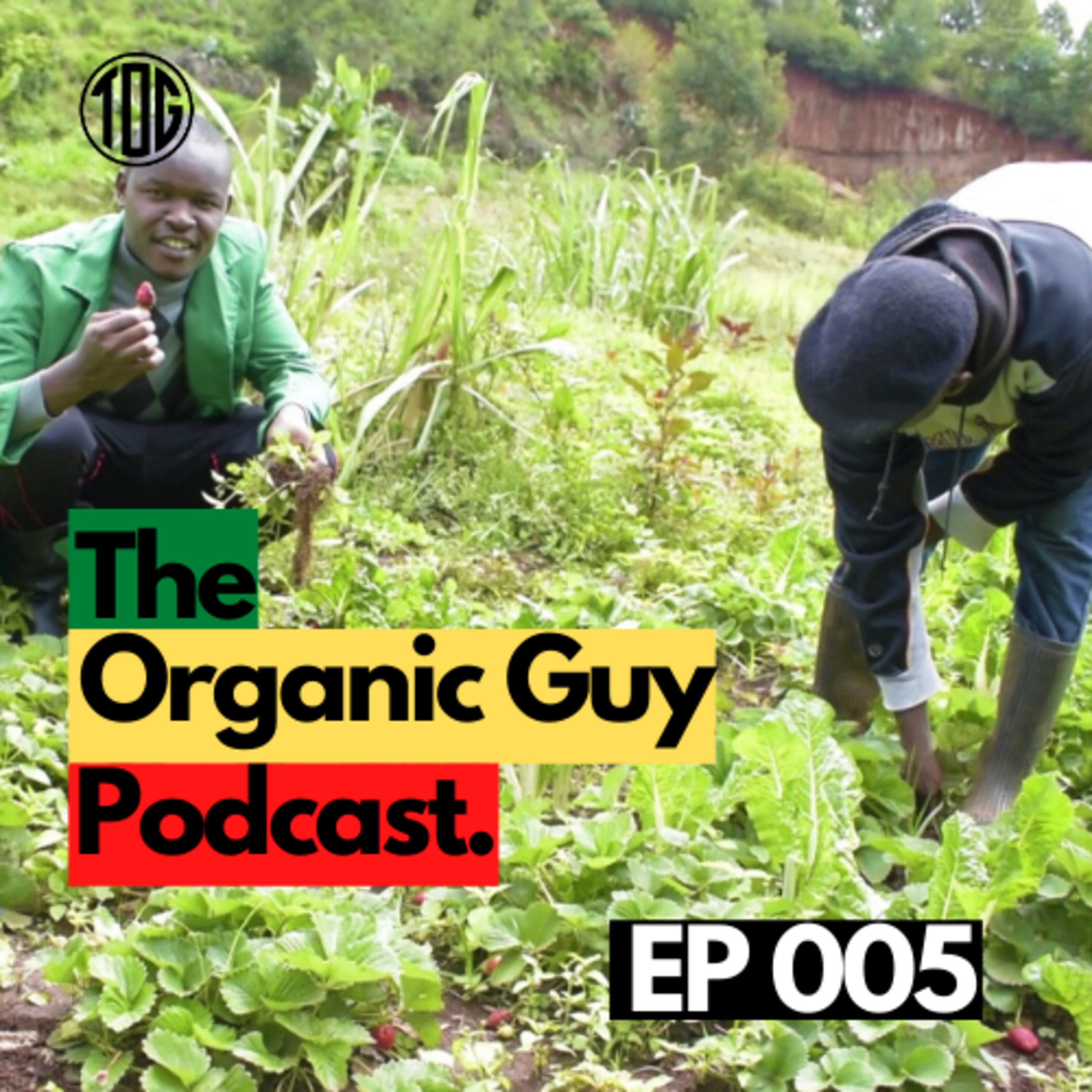 I Love Being An Organic Farmer! w/ Mr. Humphrey Kamau | Ep 005 episode artwork