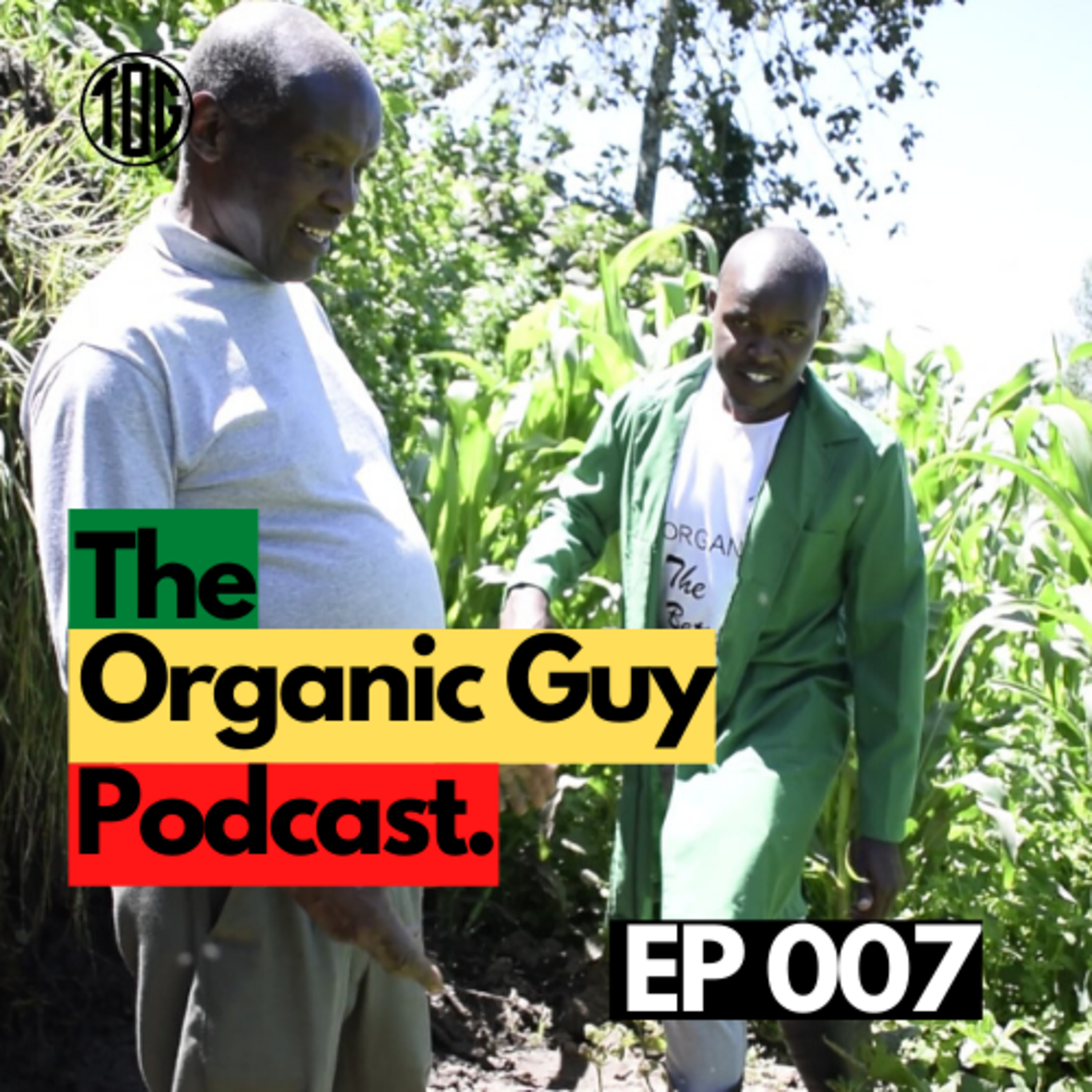 What You Need To Know About Herbal Medicine! w/ Mr. Gichoya | Ep 007 episode artwork