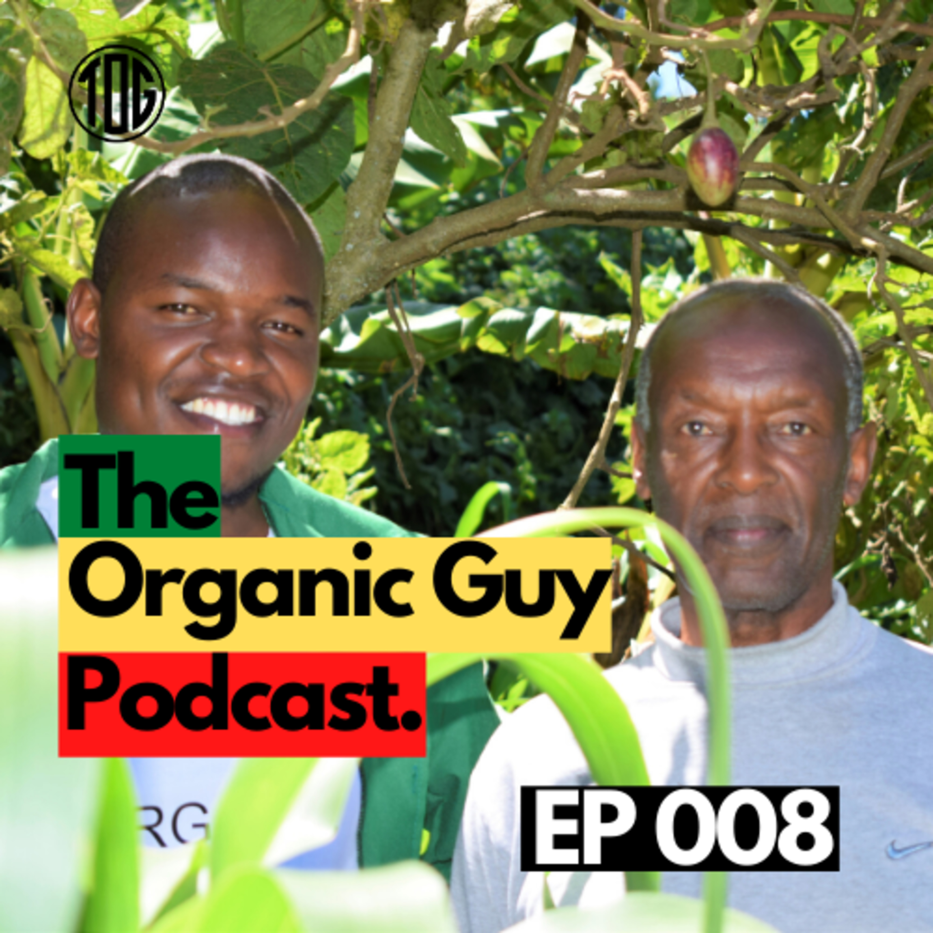 What It Takes To Be An Herbal Doctor! w/ Mr. Gichoya | Ep 008 episode artwork