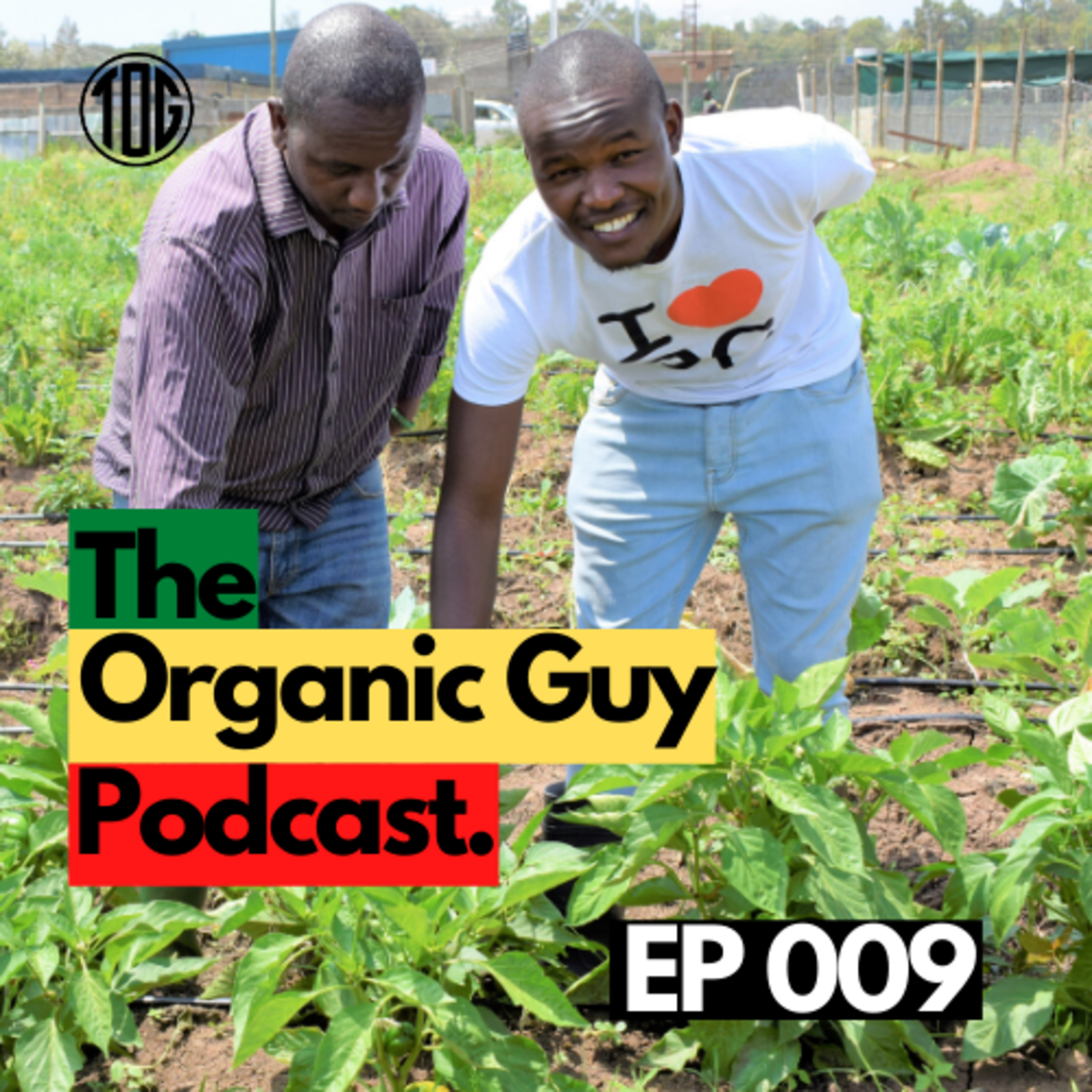 How Organic Farming Is Changing Lives! @ Nyumbani children's home | Ep 009 episode artwork
