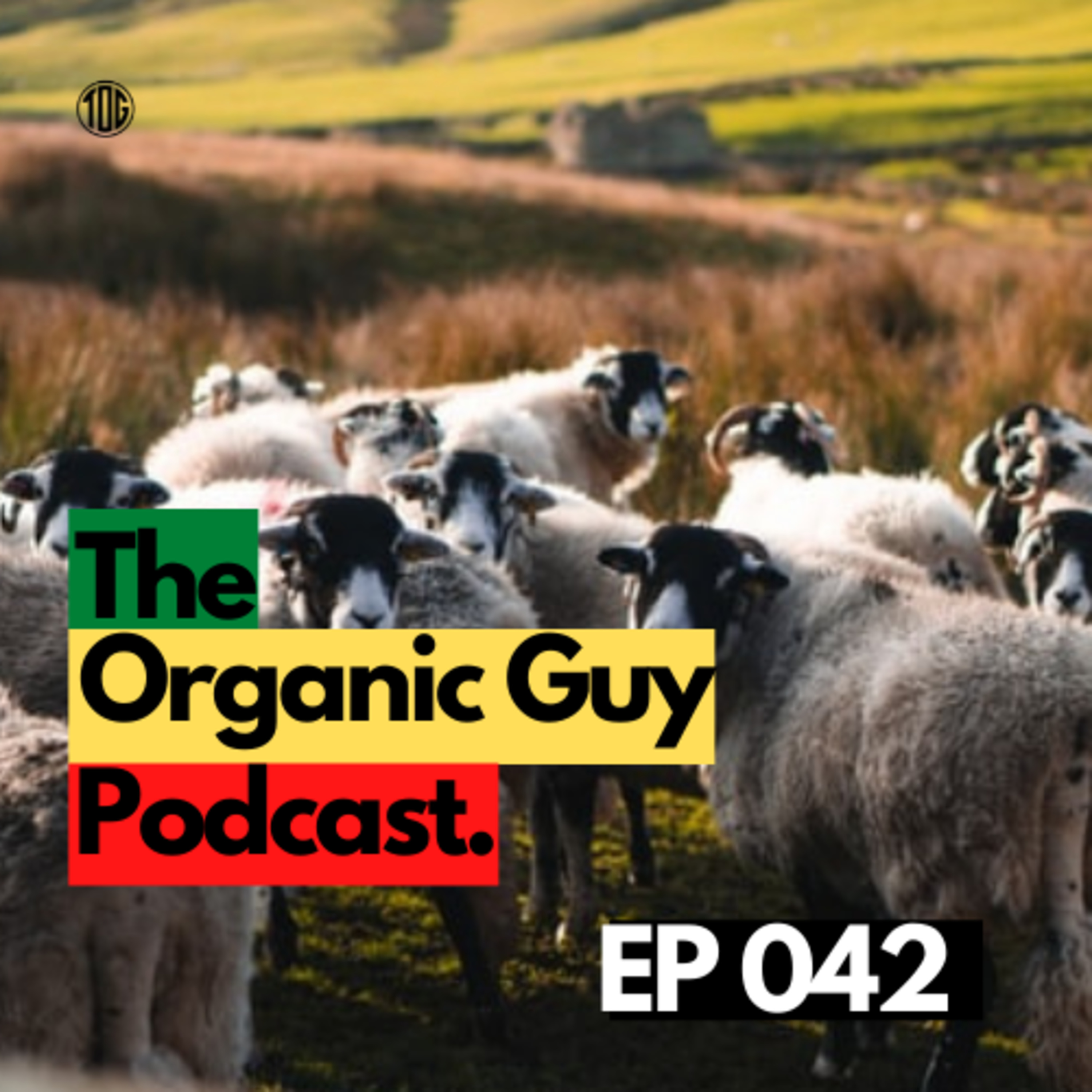 Is Sri Lanka’s Economic Woes A Result Of Their Switch To Organic Farming? | Ep 042 episode artwork