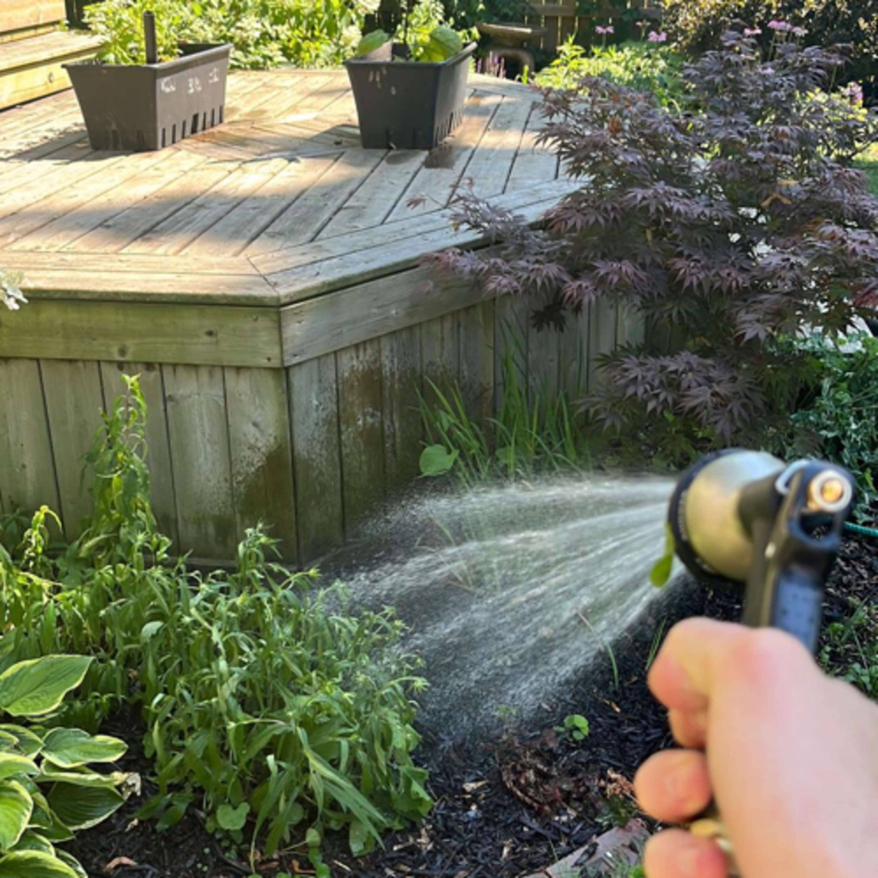 A Special Garden