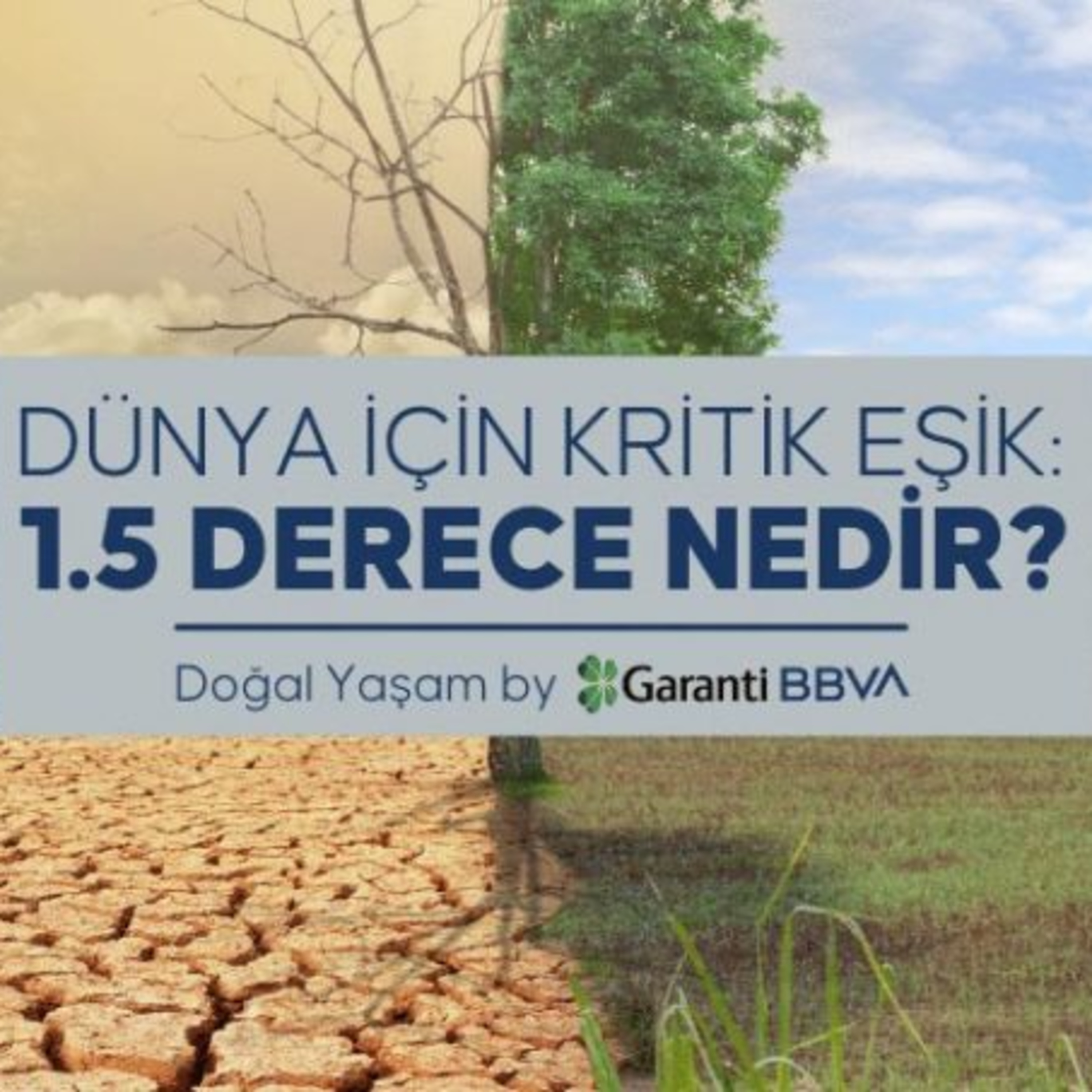 PlumeMag Sürdürülebilir Yaşam Trendleri