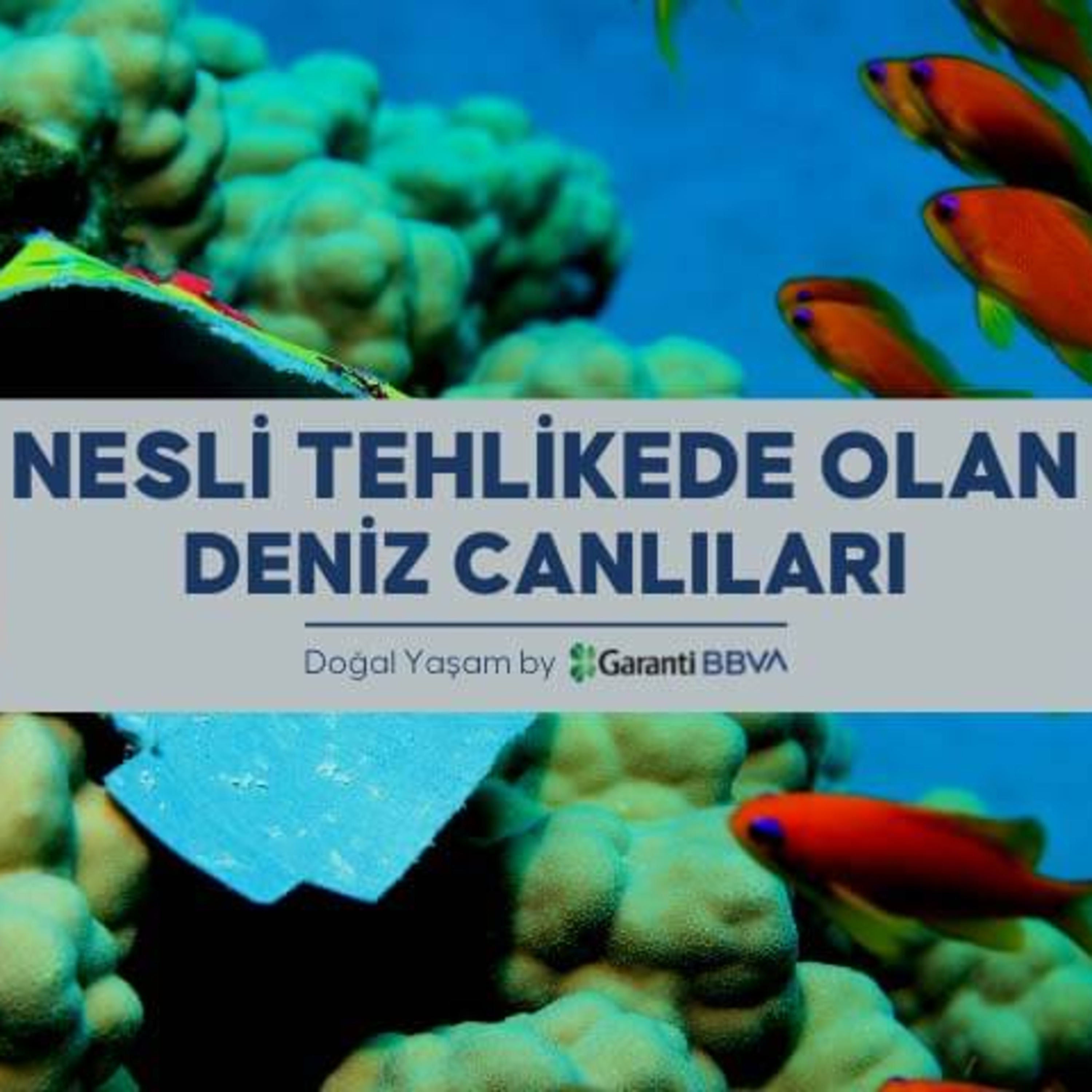 PlumeMag Sürdürülebilir Yaşam Trendleri