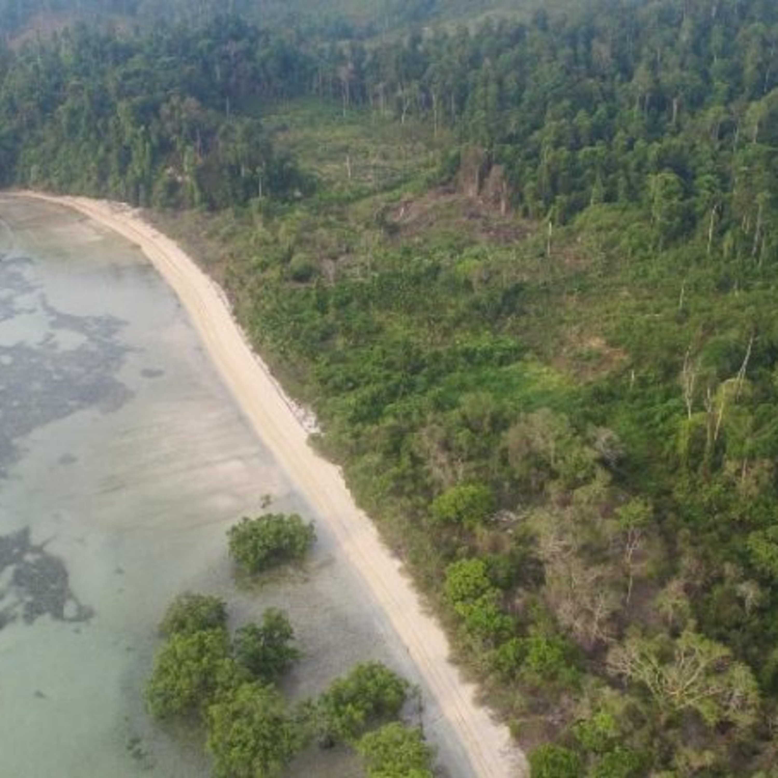 PlumeMag Sürdürülebilir Yaşam Trendleri