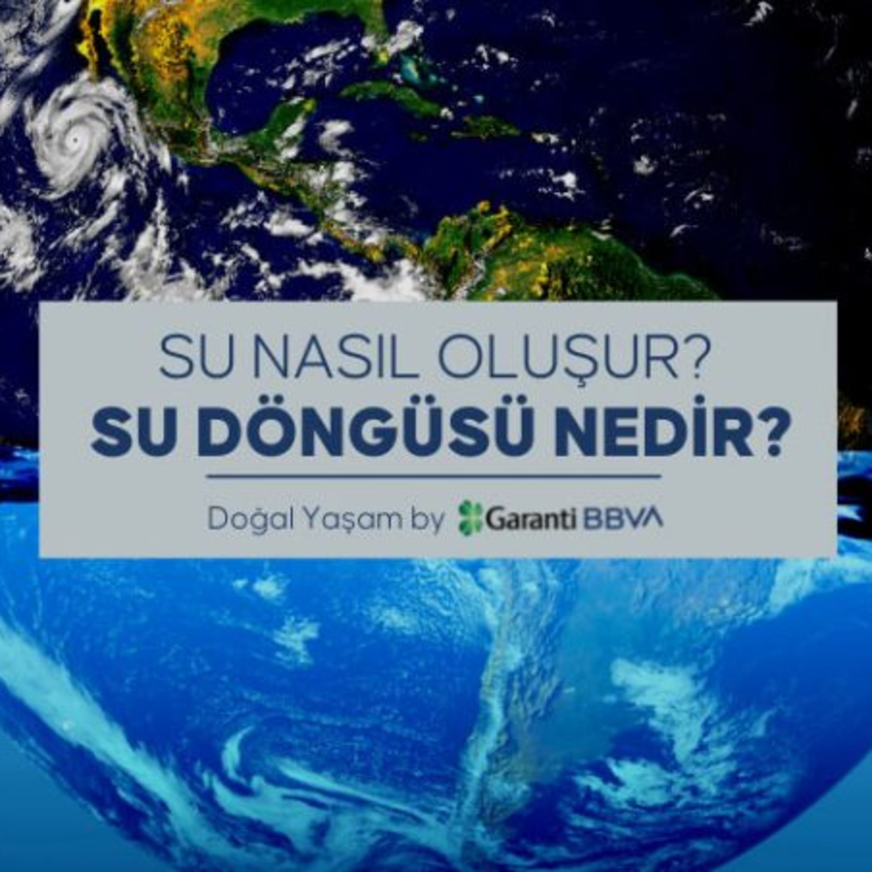 PlumeMag Sürdürülebilir Yaşam Trendleri