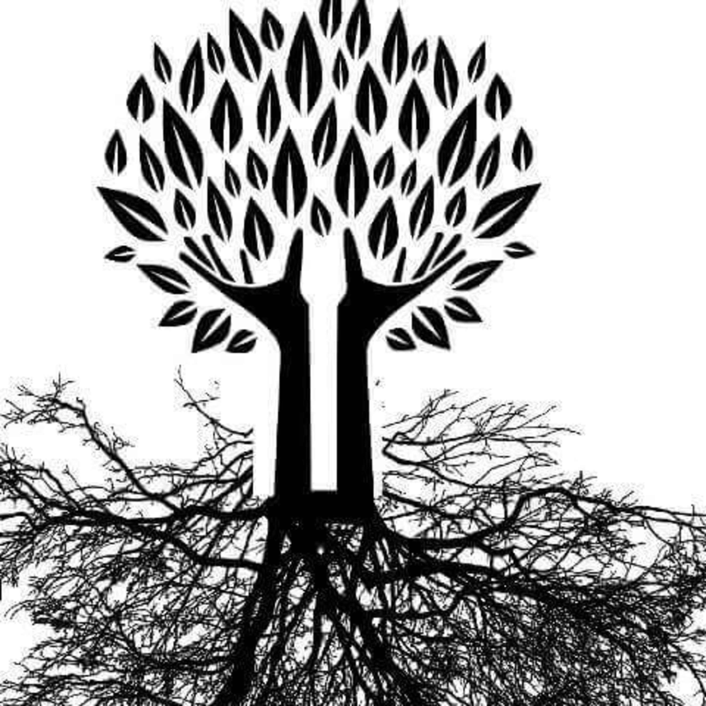 PlumeMag Sürdürülebilir Yaşam Trendleri