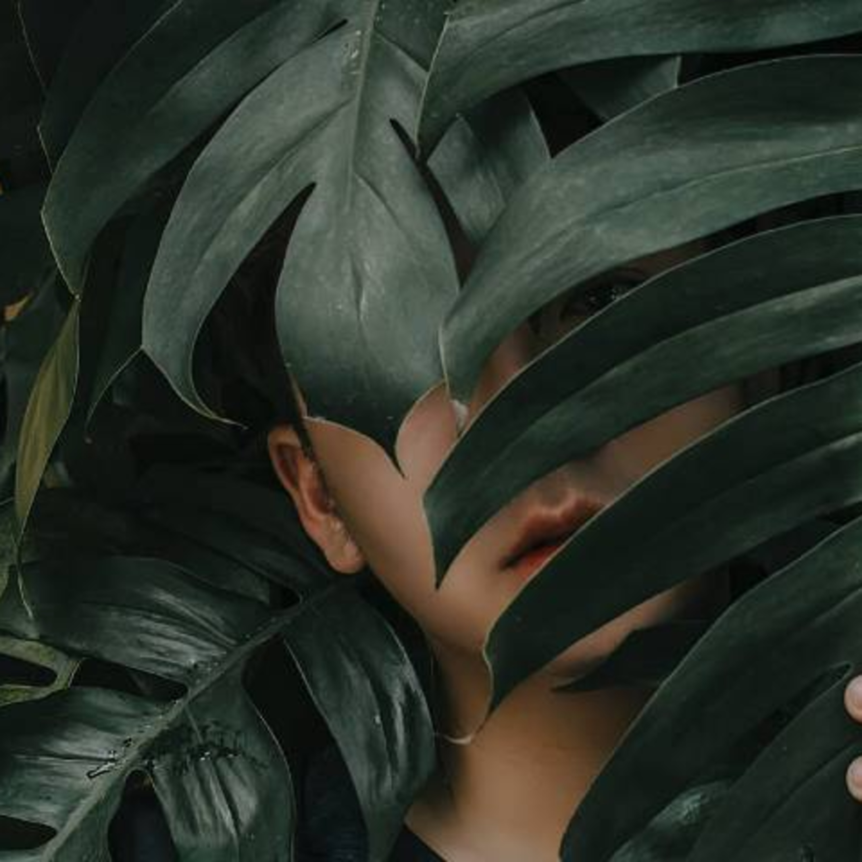 PlumeMag Sürdürülebilir Yaşam Trendleri