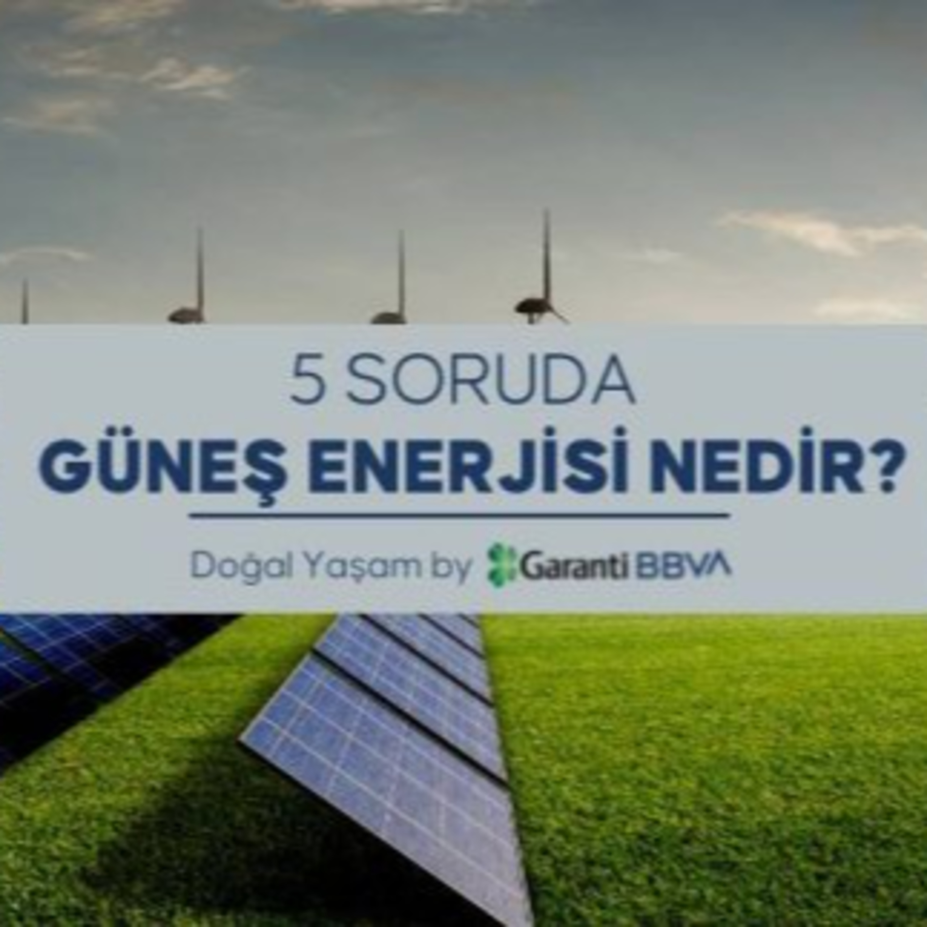 PlumeMag Sürdürülebilir Yaşam Trendleri